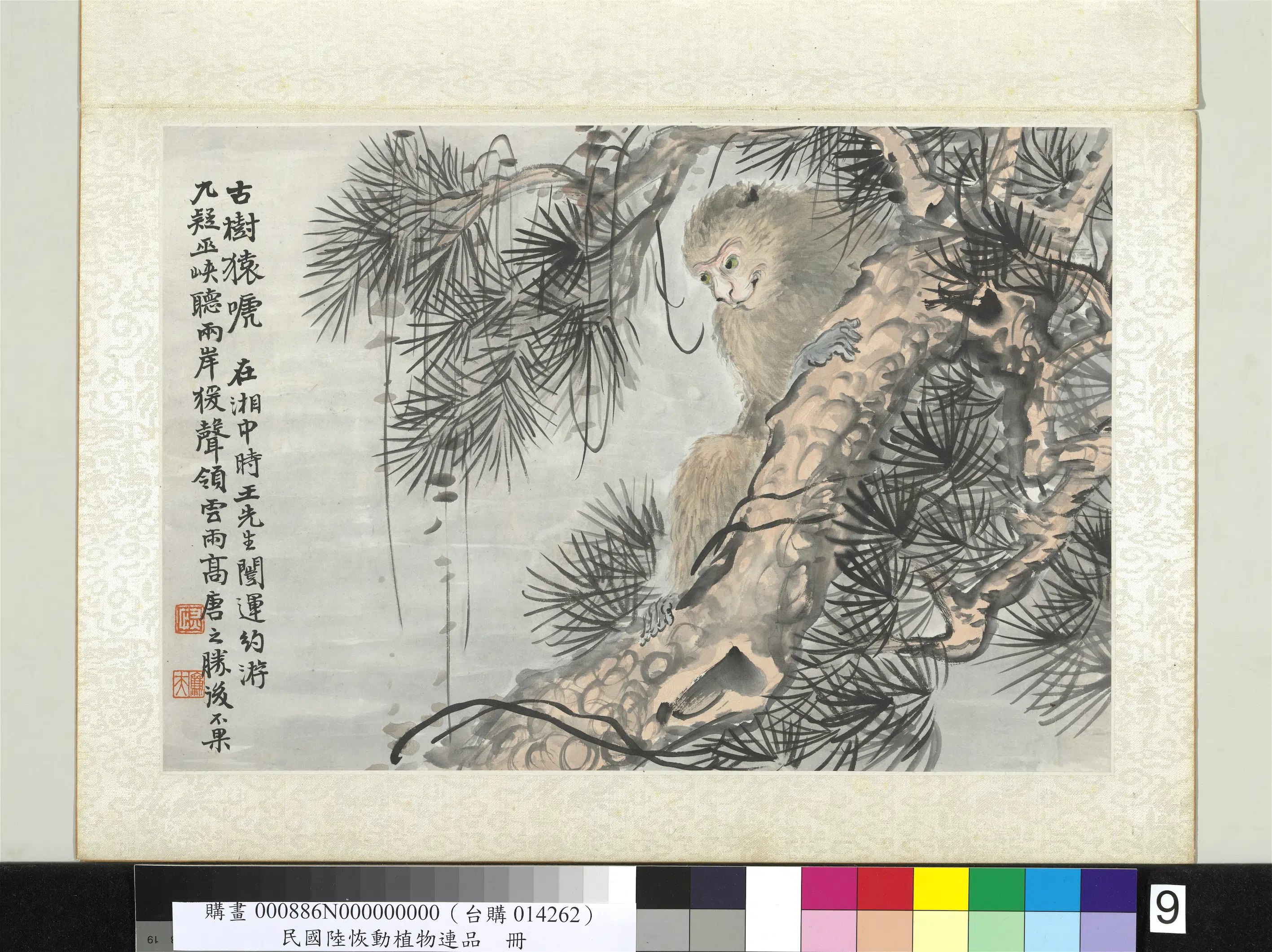 清代【陆恢】《动植物逸品册-古树猿唬》