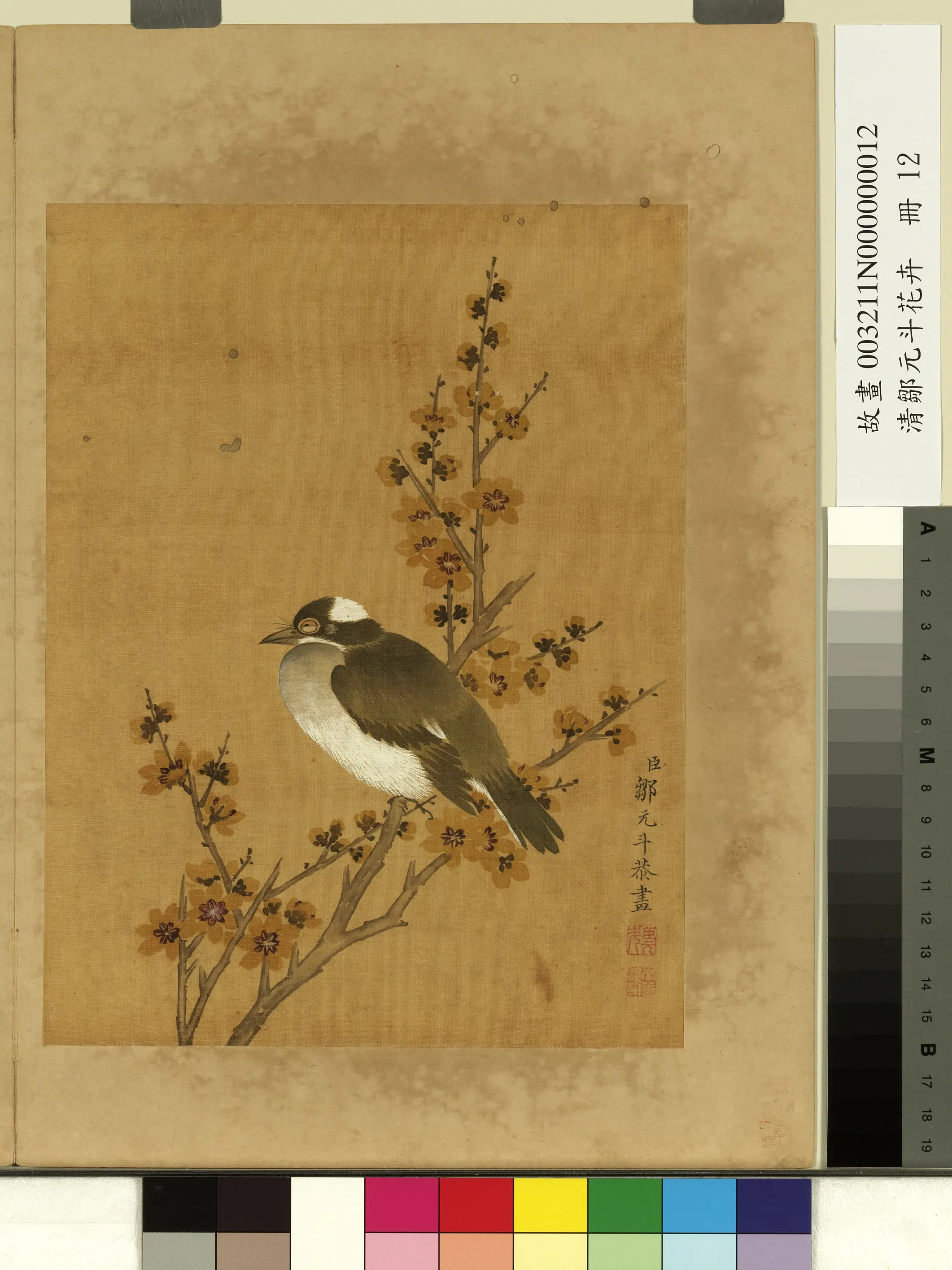 清代【邹元斗】《花卉册-蜡梅》