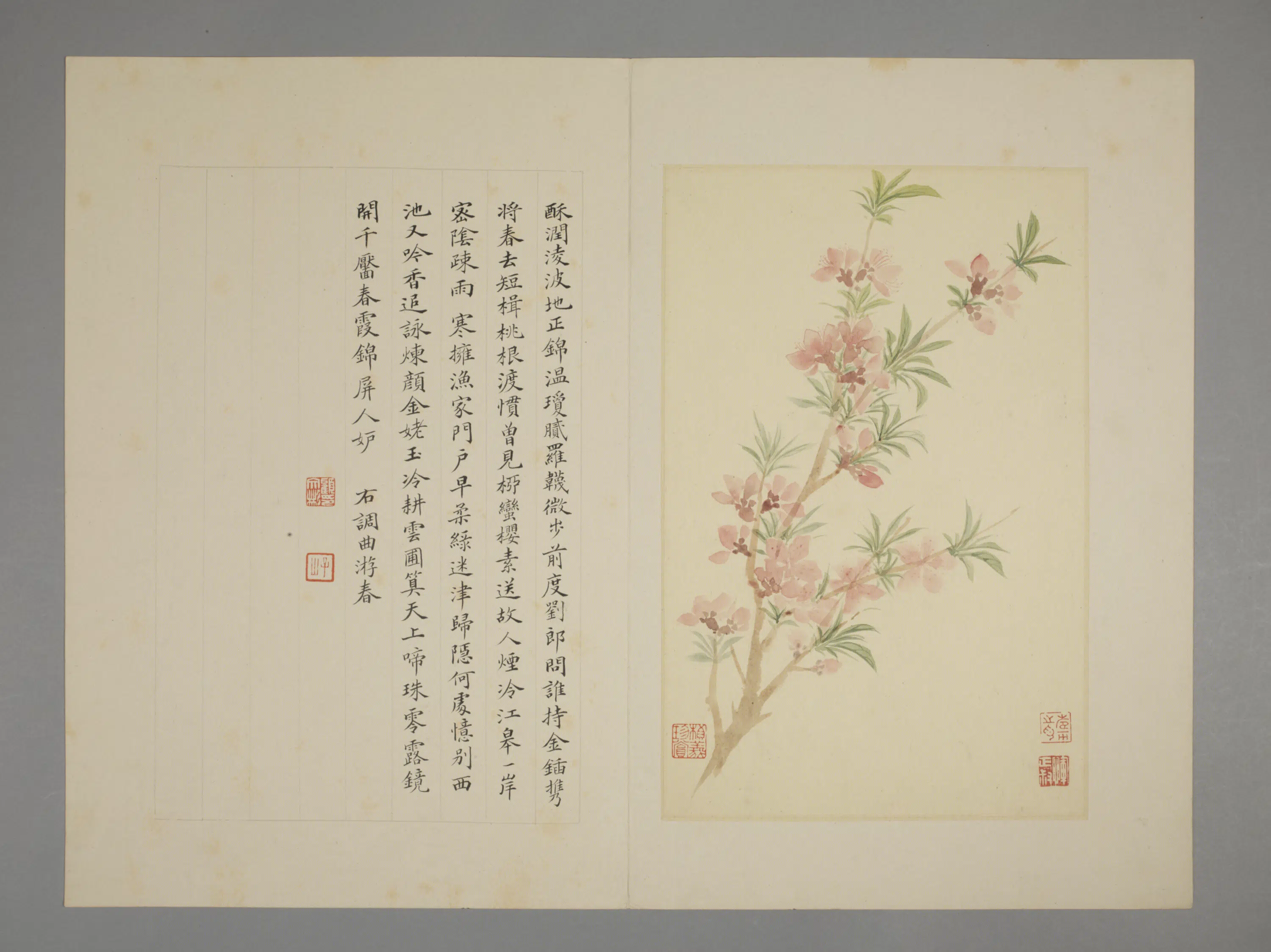 清代【恽寿平】《花卉册（7开）》 第2张