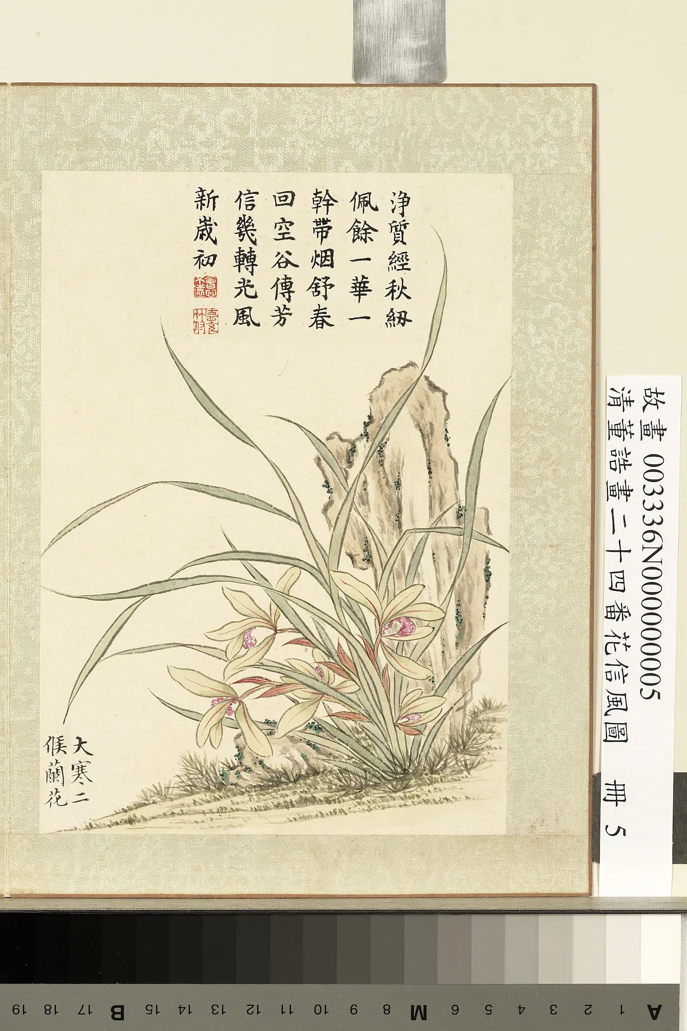 清代【董诰】《画二十四番花信风图册-大寒二候兰花》