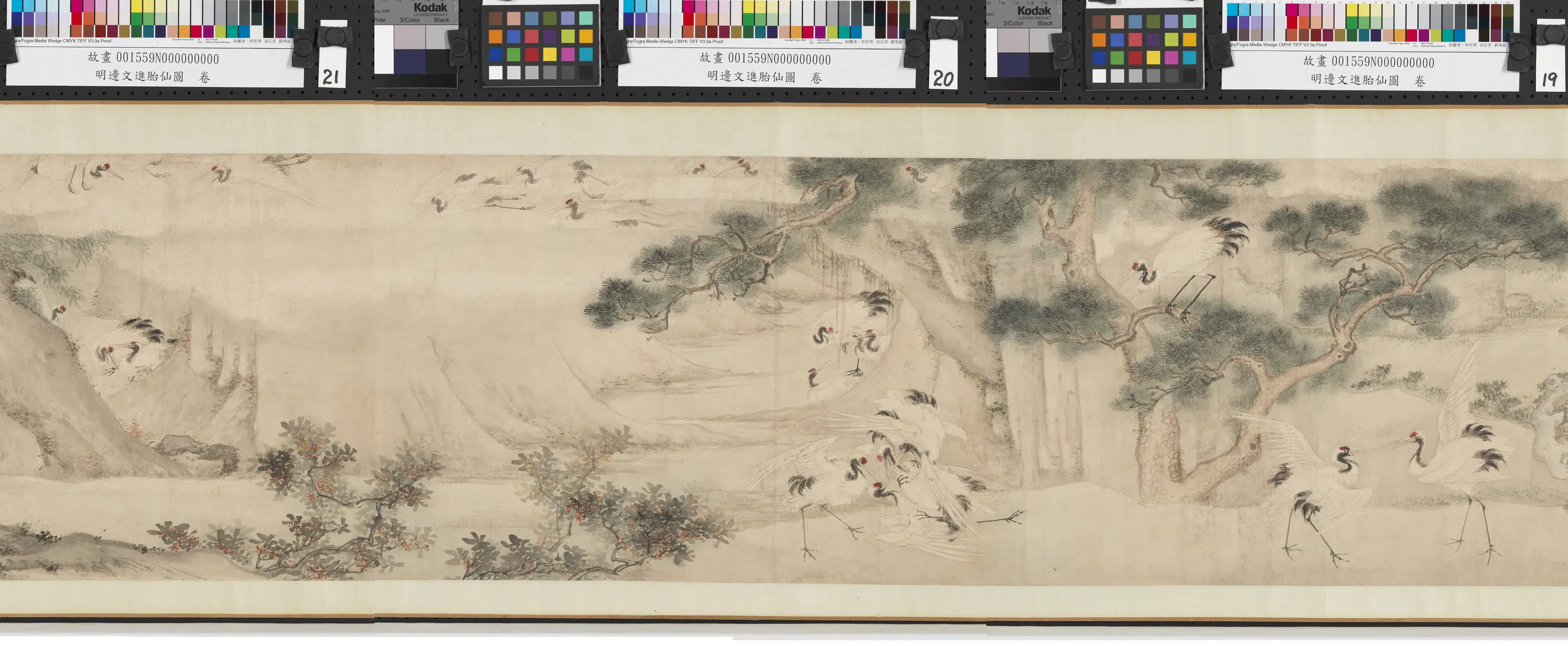 明朝【边景昭（文进）】《胎仙图卷》 第2张
