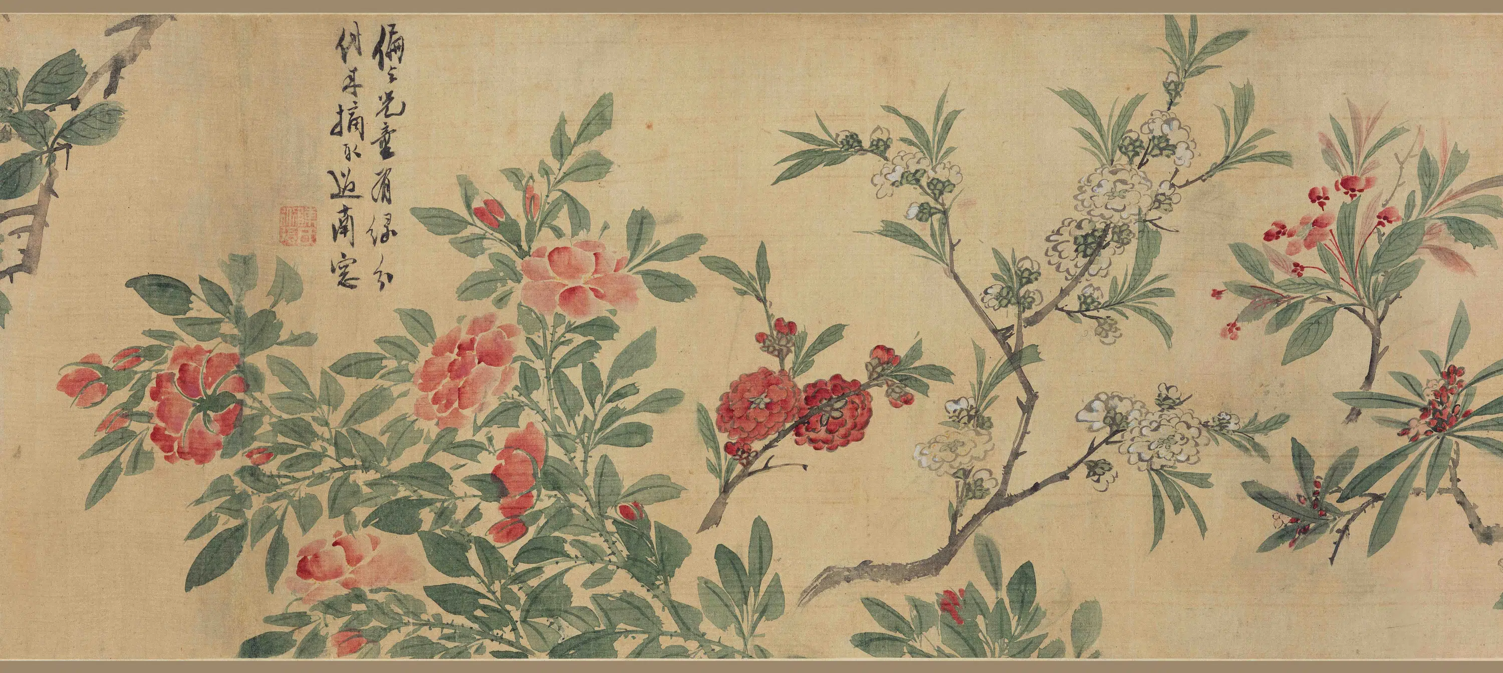 明朝【陈淳(道复)】《花卉图卷-3》 第6张 明朝【陈淳(道复)】《花卉图卷-3》 第6张