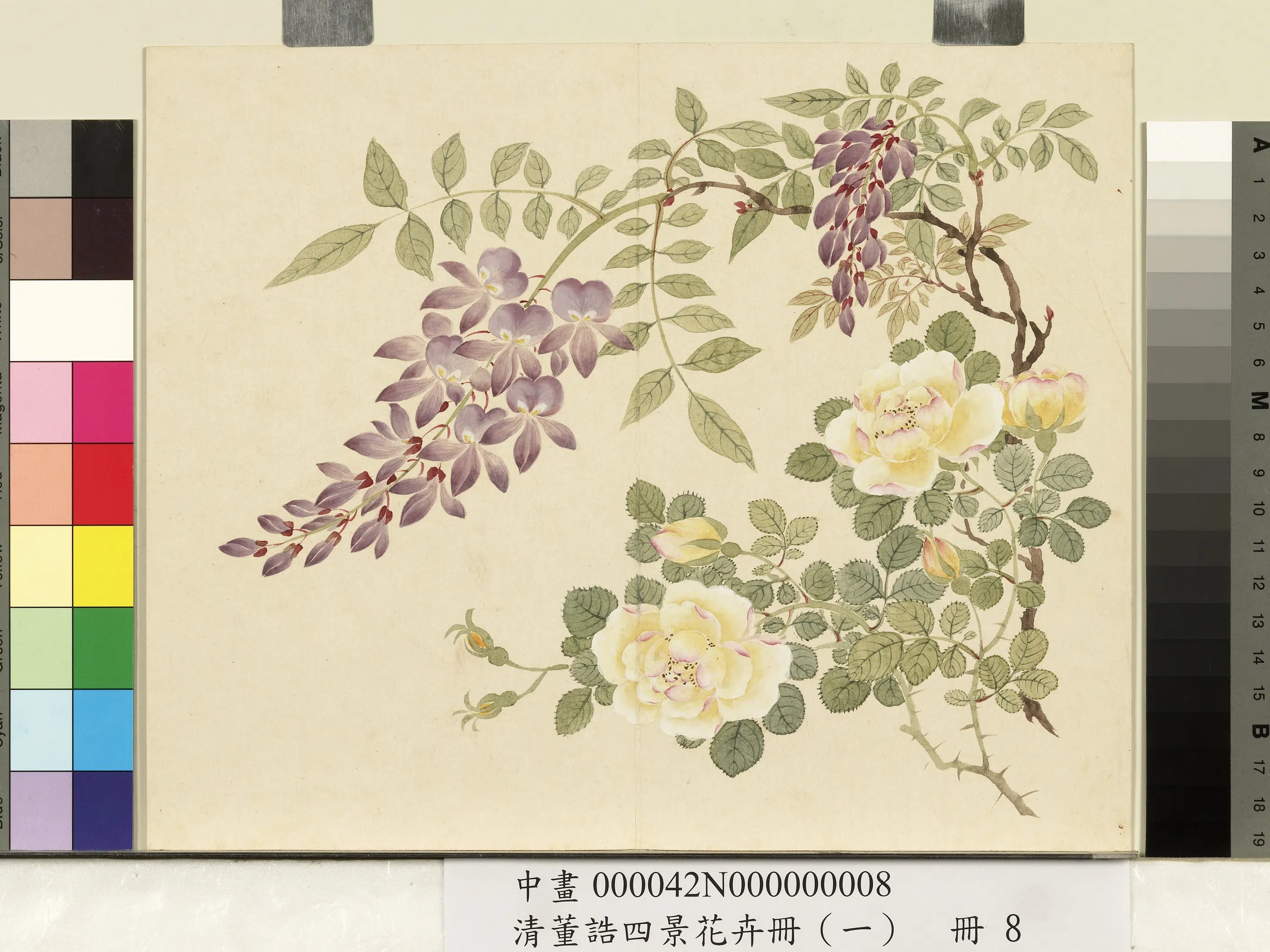 清代【董诰】《四景花卉（一）册》 第7张