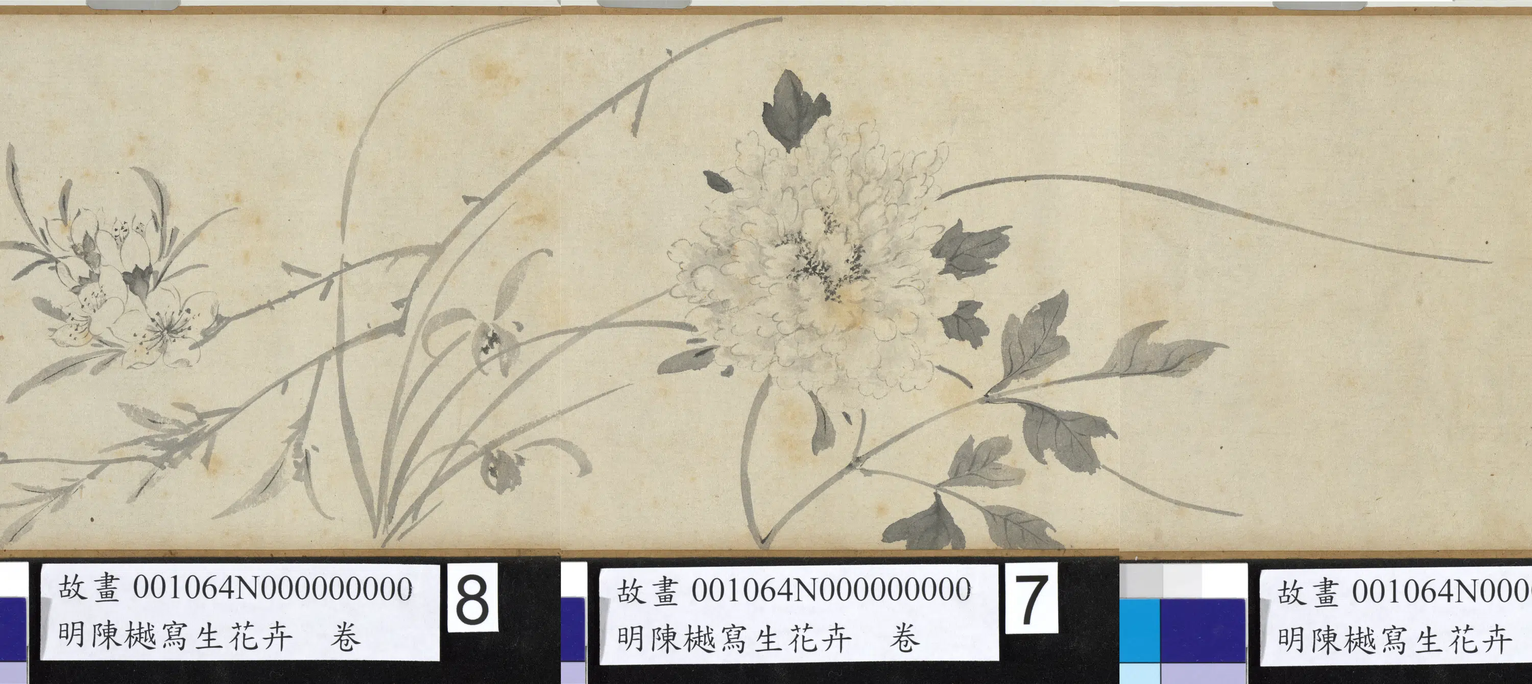 明朝【陈樾】《写生花卉卷》 第5张