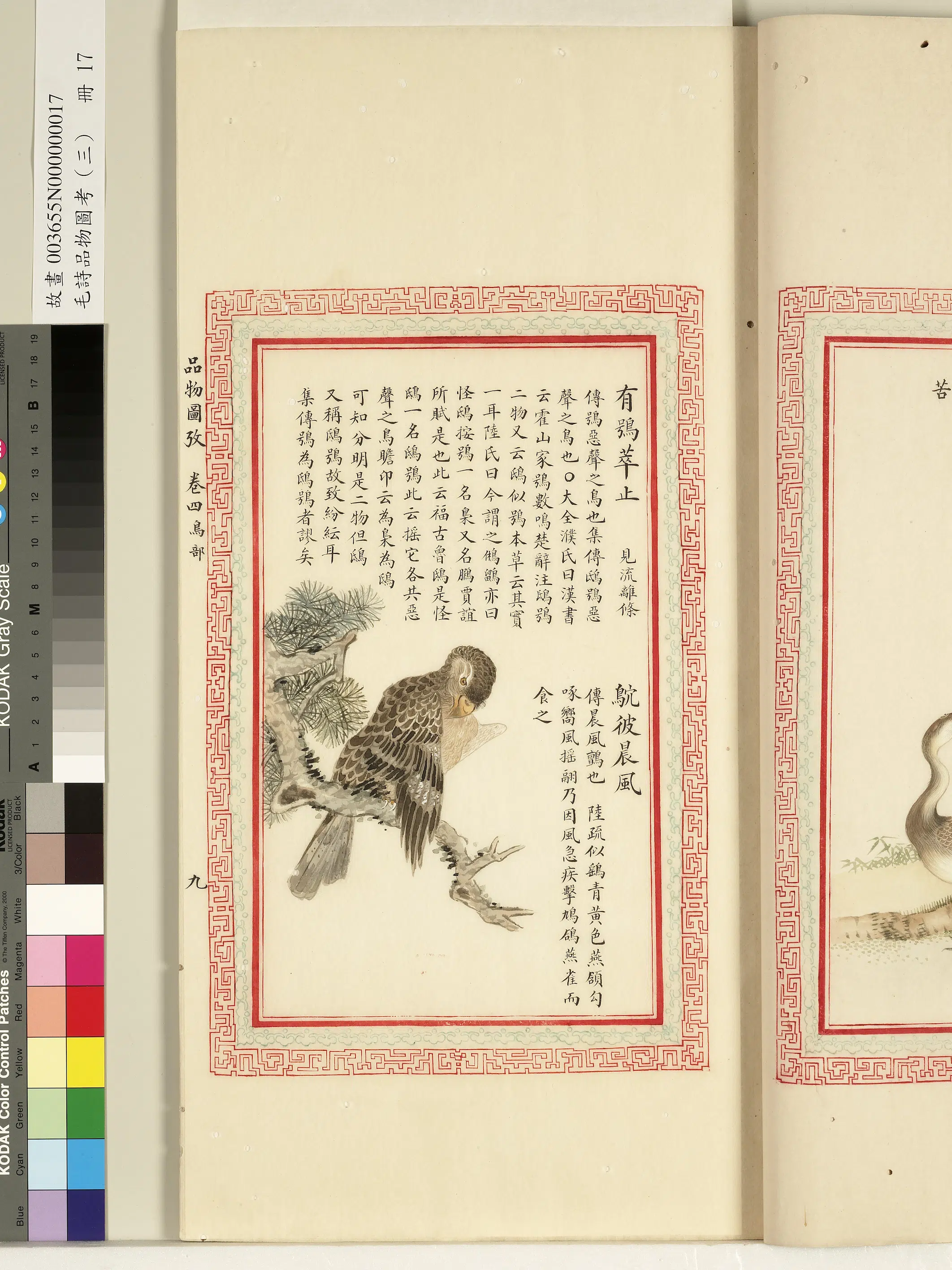 清代《毛诗品物图考(三)册-1》 第27张 清代《毛诗品物图考(三)册-1》 第27张