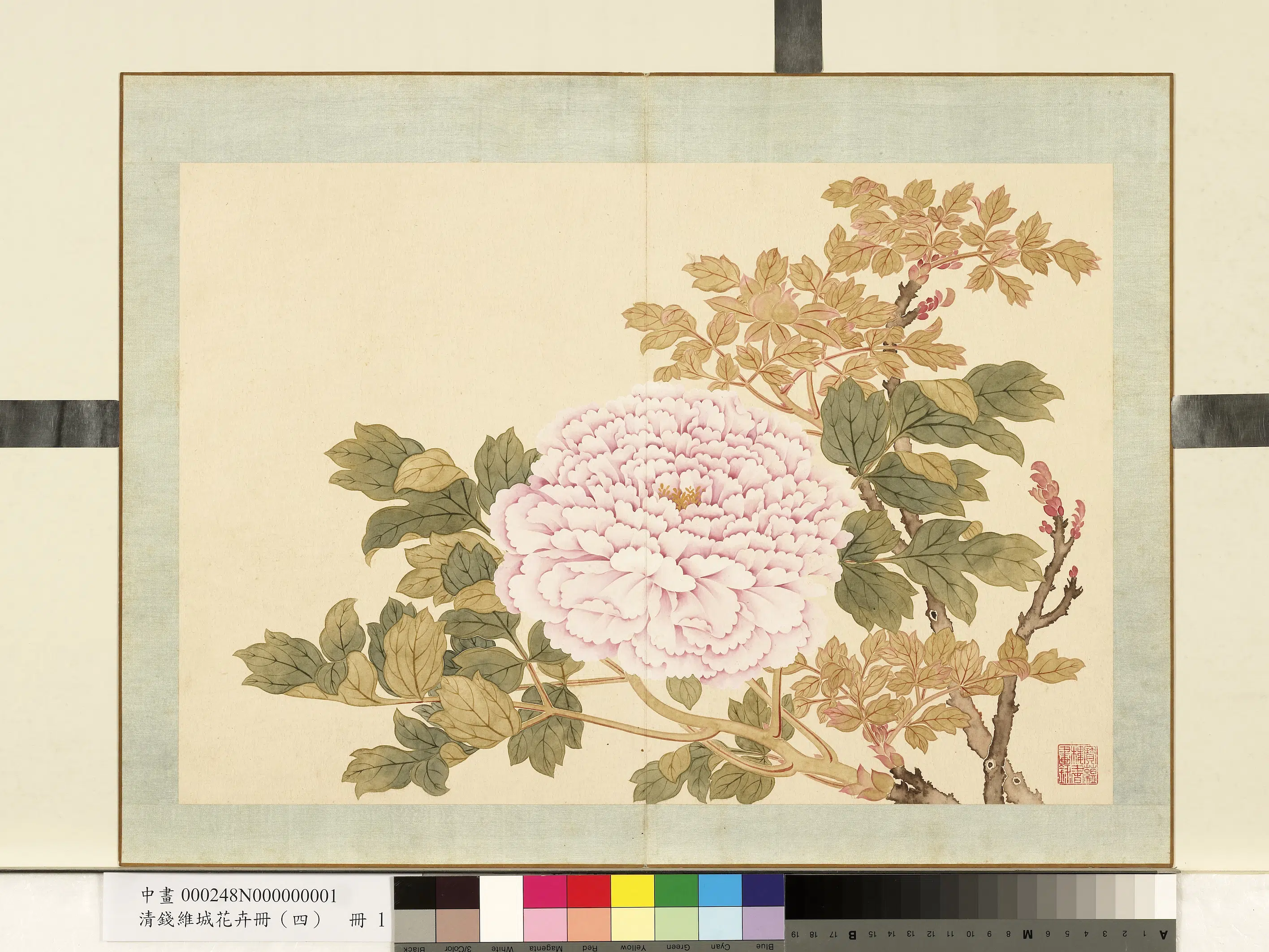 清代【钱维城】《花卉册(四)册》 第2张 清代【钱维城】《花卉册(四)册》 第2张