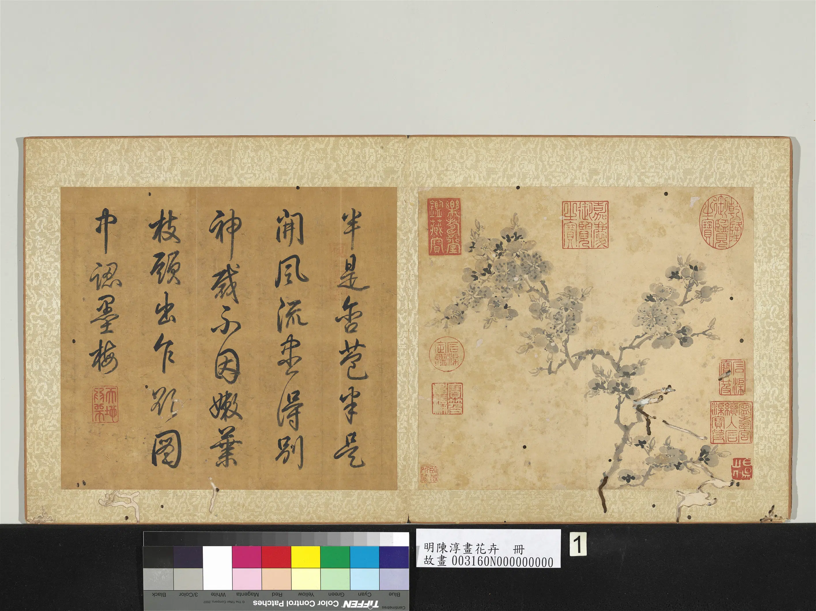 明朝【陈淳（道复）】《画花卉册》 第3张