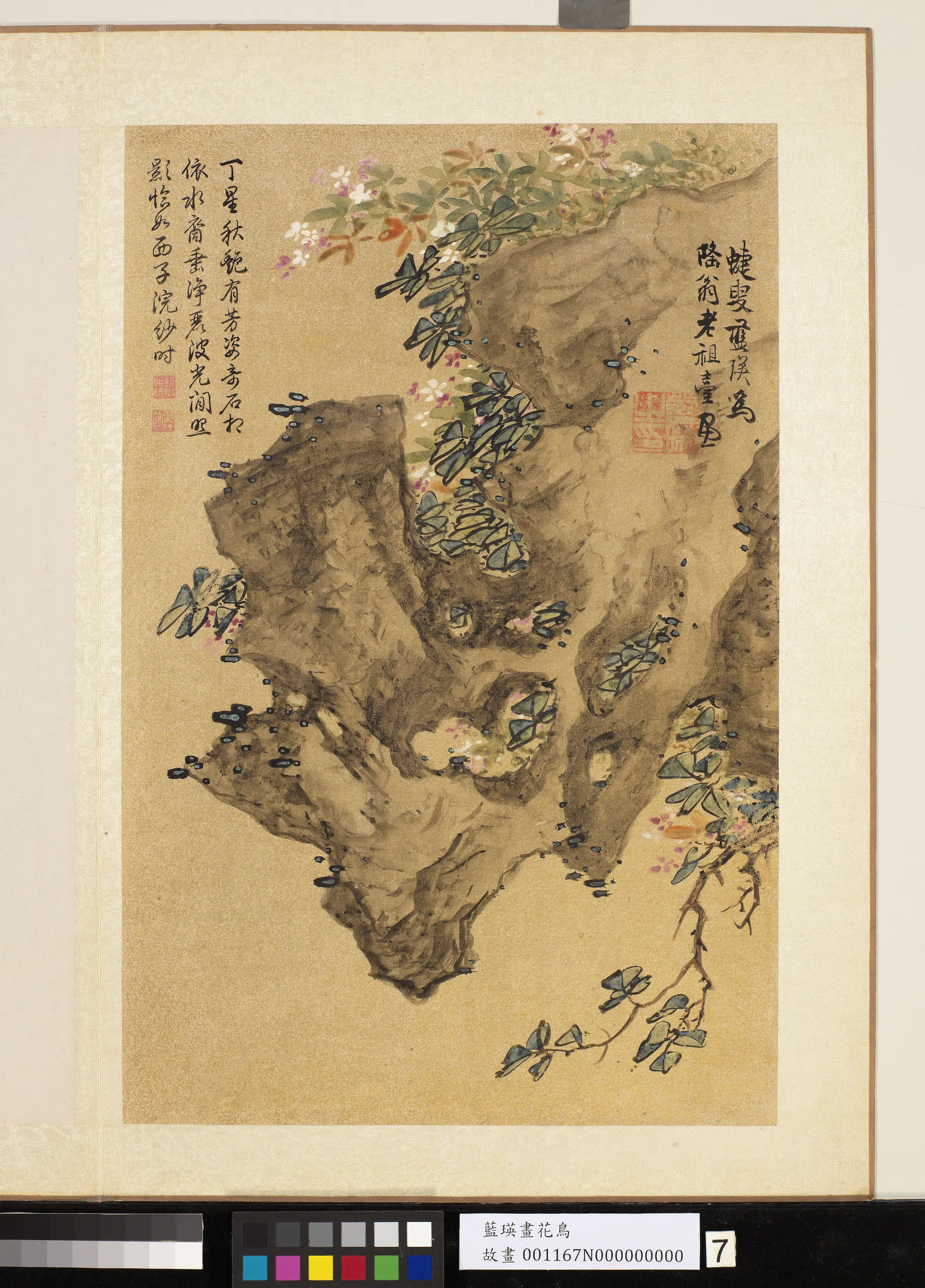 明朝【蓝瑛】《画花鸟册-12开》 第1张 明朝【蓝瑛】《画花鸟册-12开》 第1张