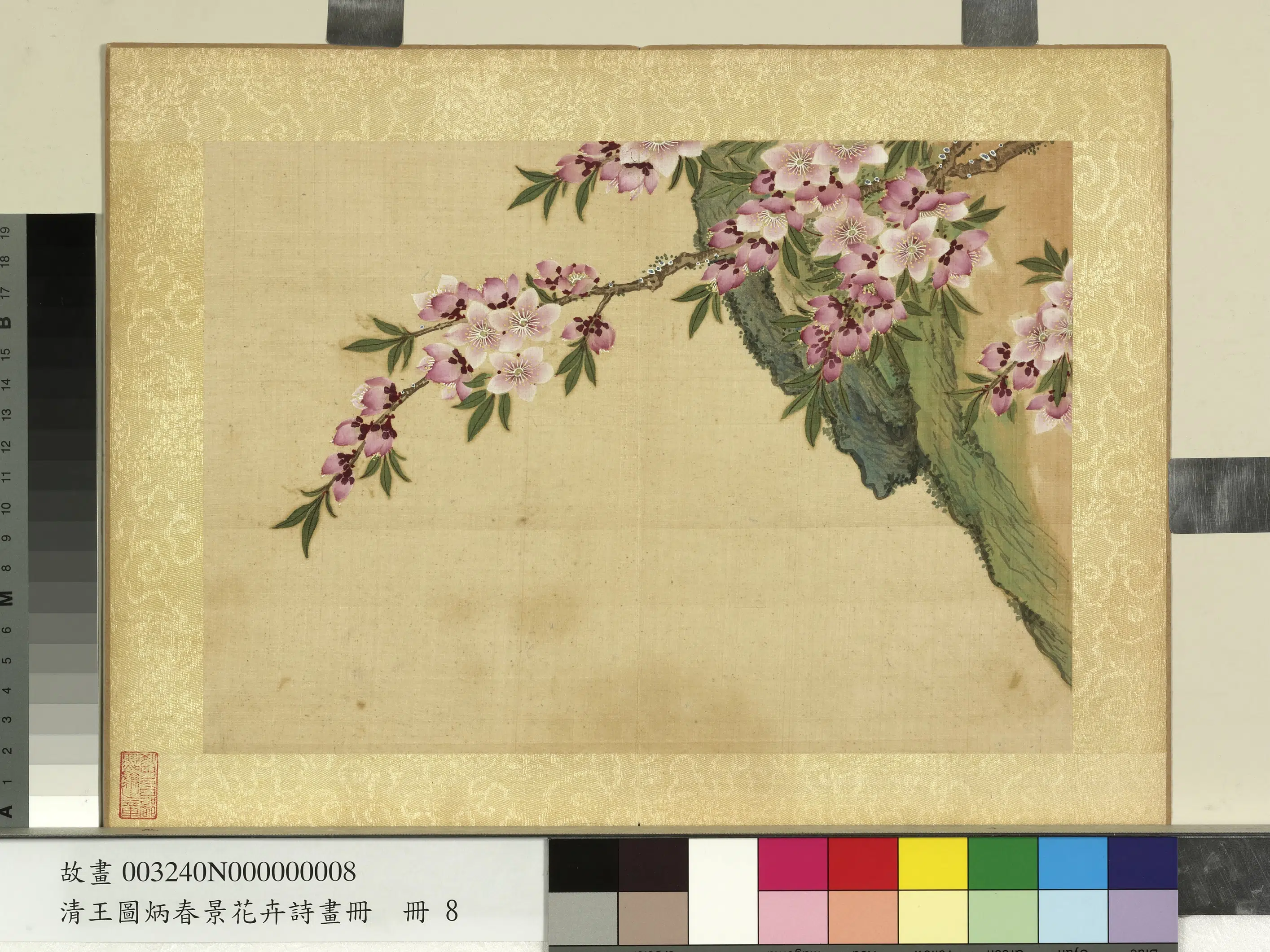 清代【王图炳】《春景花卉诗画册》 第13张