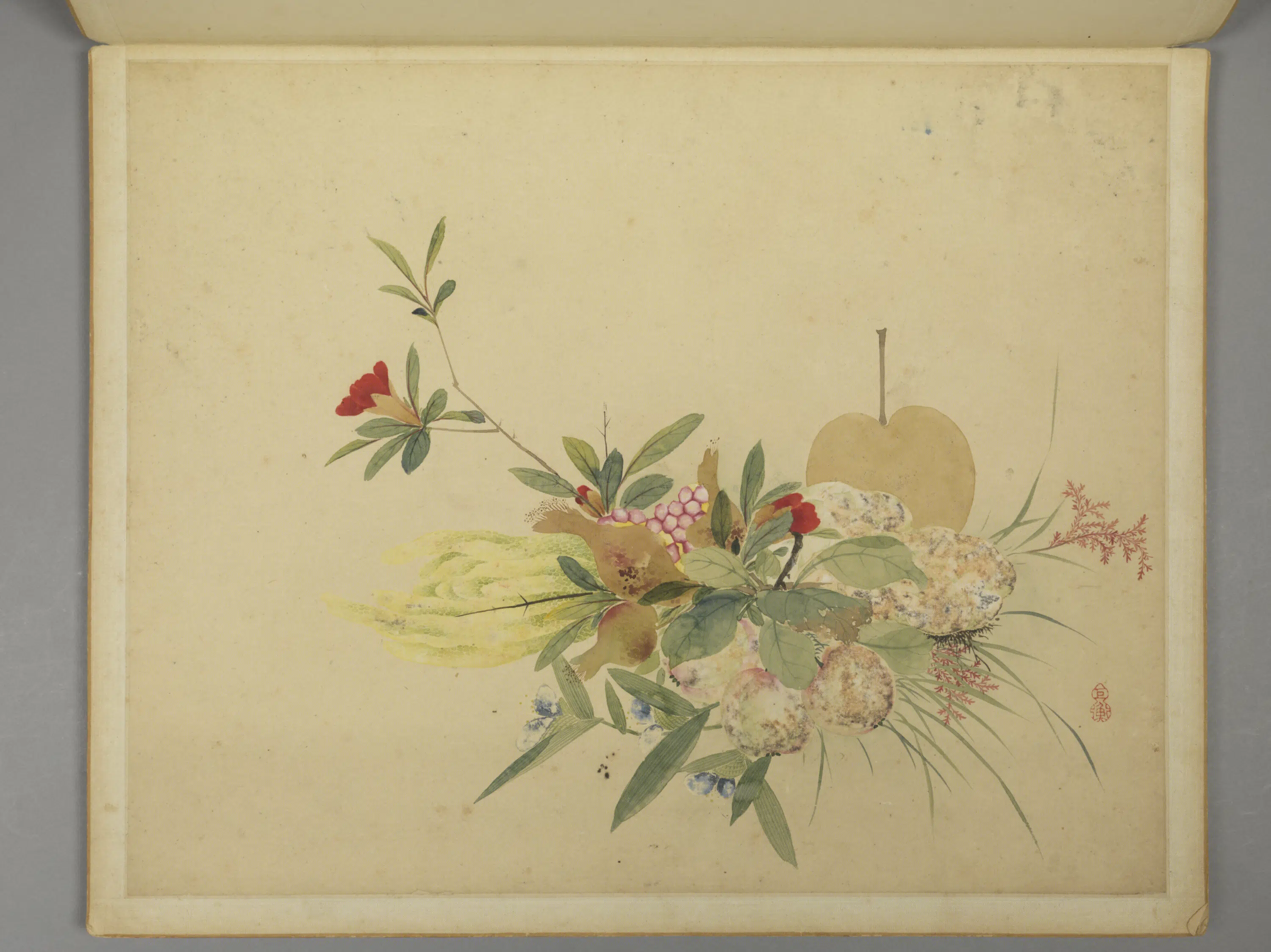 清代【周铨】《花鸟昆虫图册（12开）》 第7张