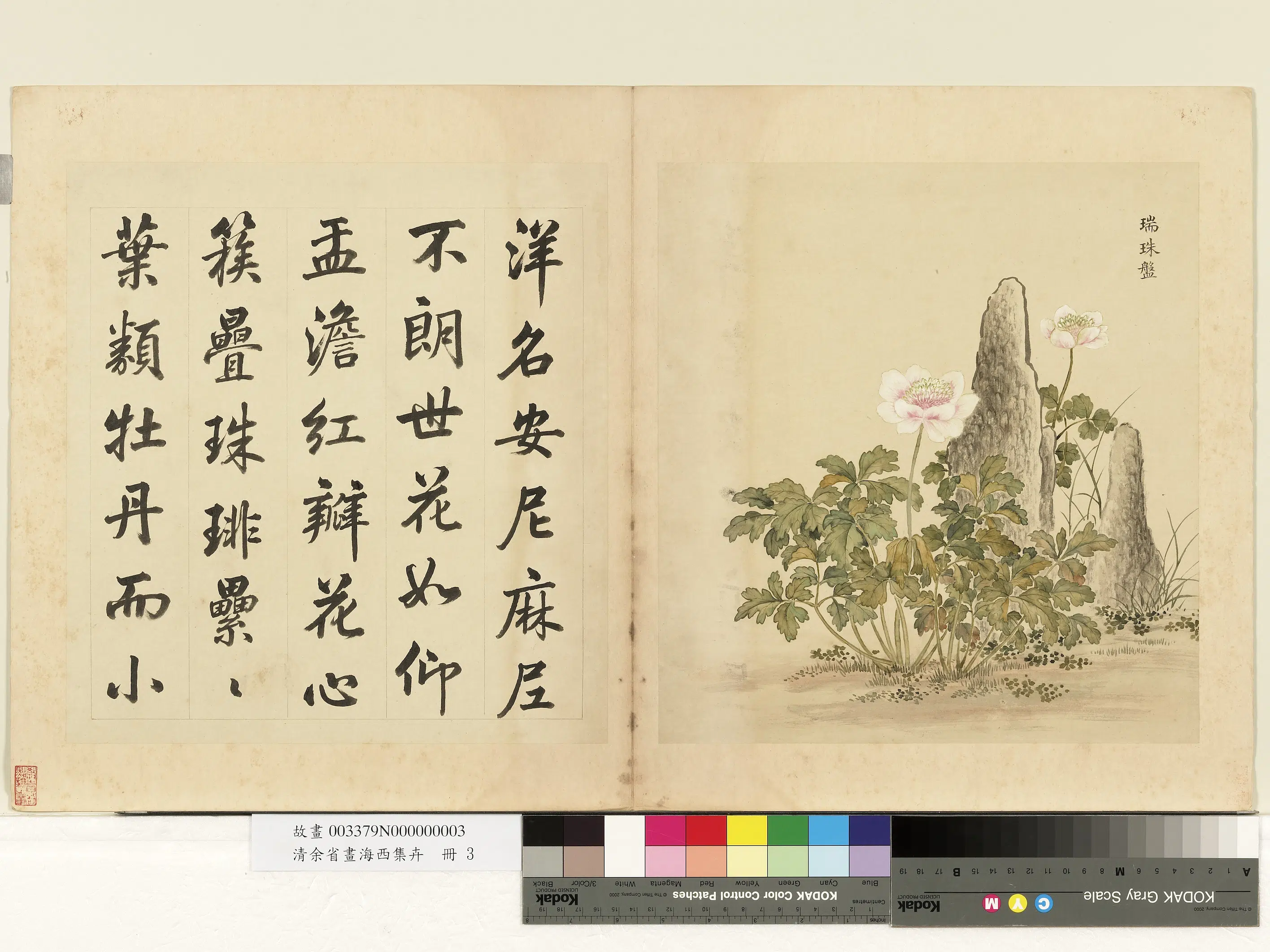 清代【余省】《画海西集卉册-瑞珠盘》
