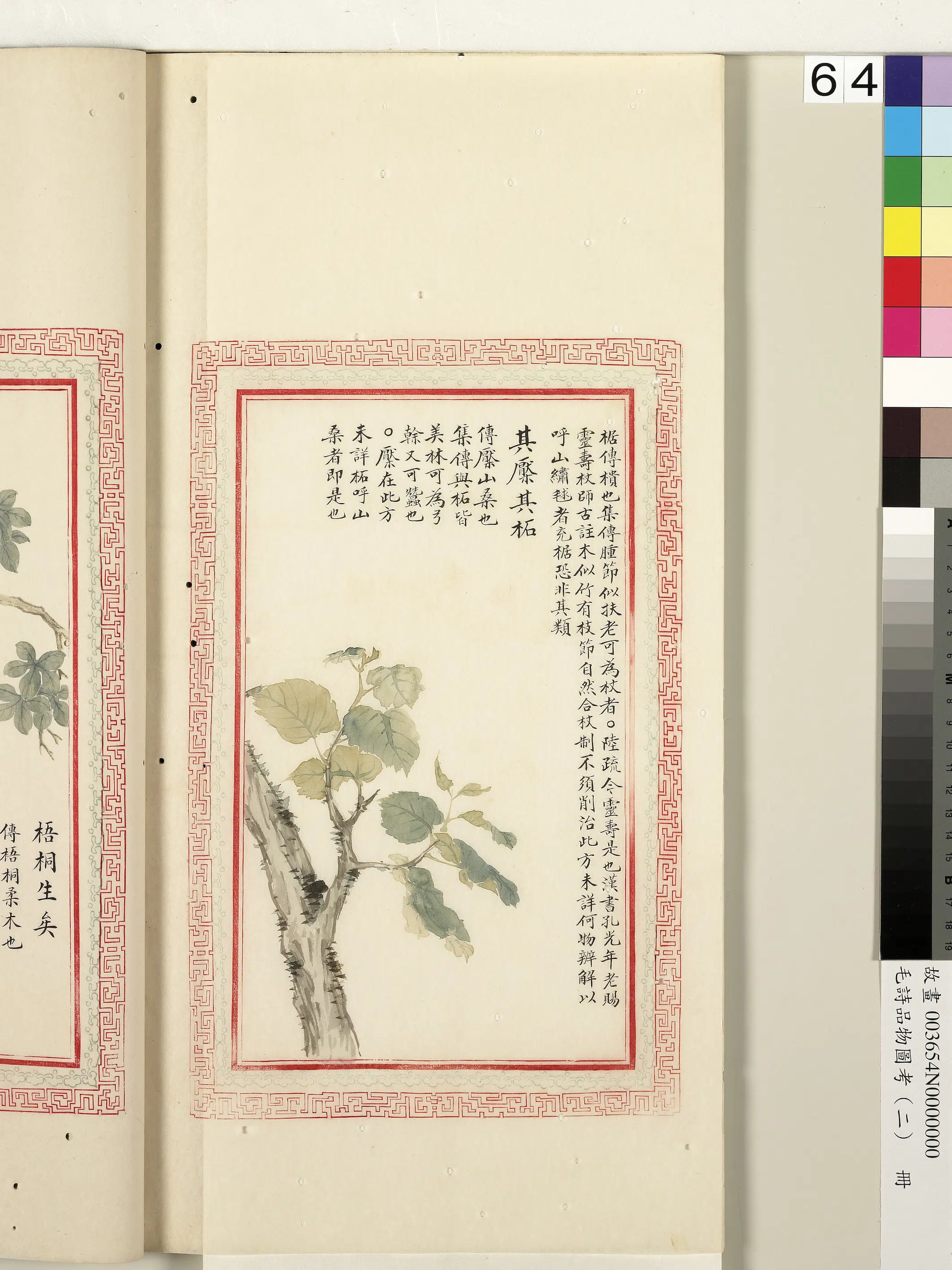 清代《毛诗品物图考(二)册-1》 第9张 清代《毛诗品物图考(二)册-1》 第9张