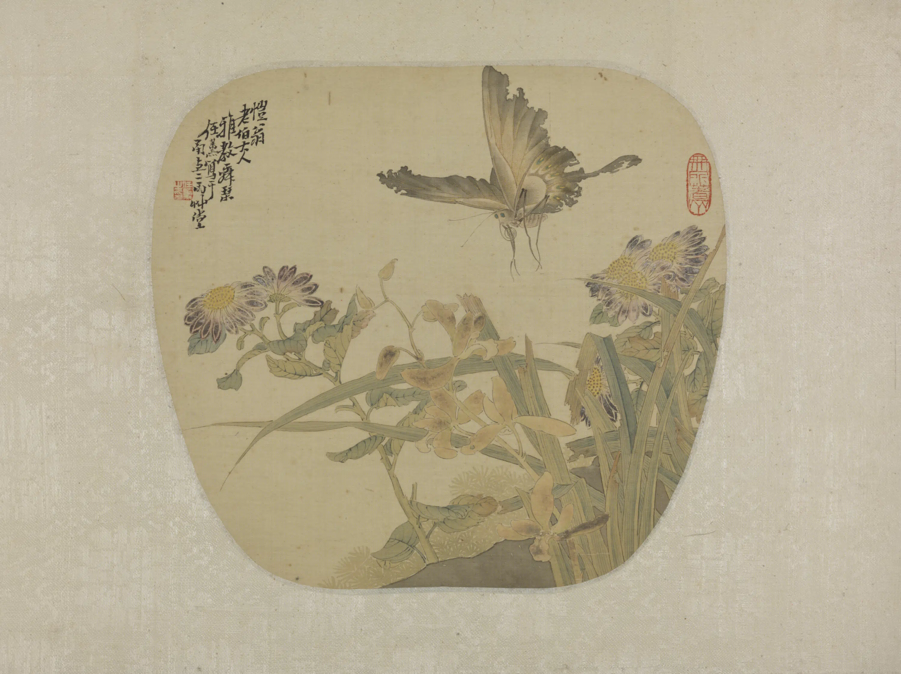 清代【任薰】《花蝶图扇页》