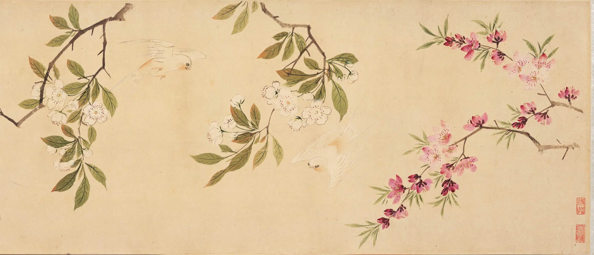 明朝【周之冕】《设色花鸟卷》 第6张