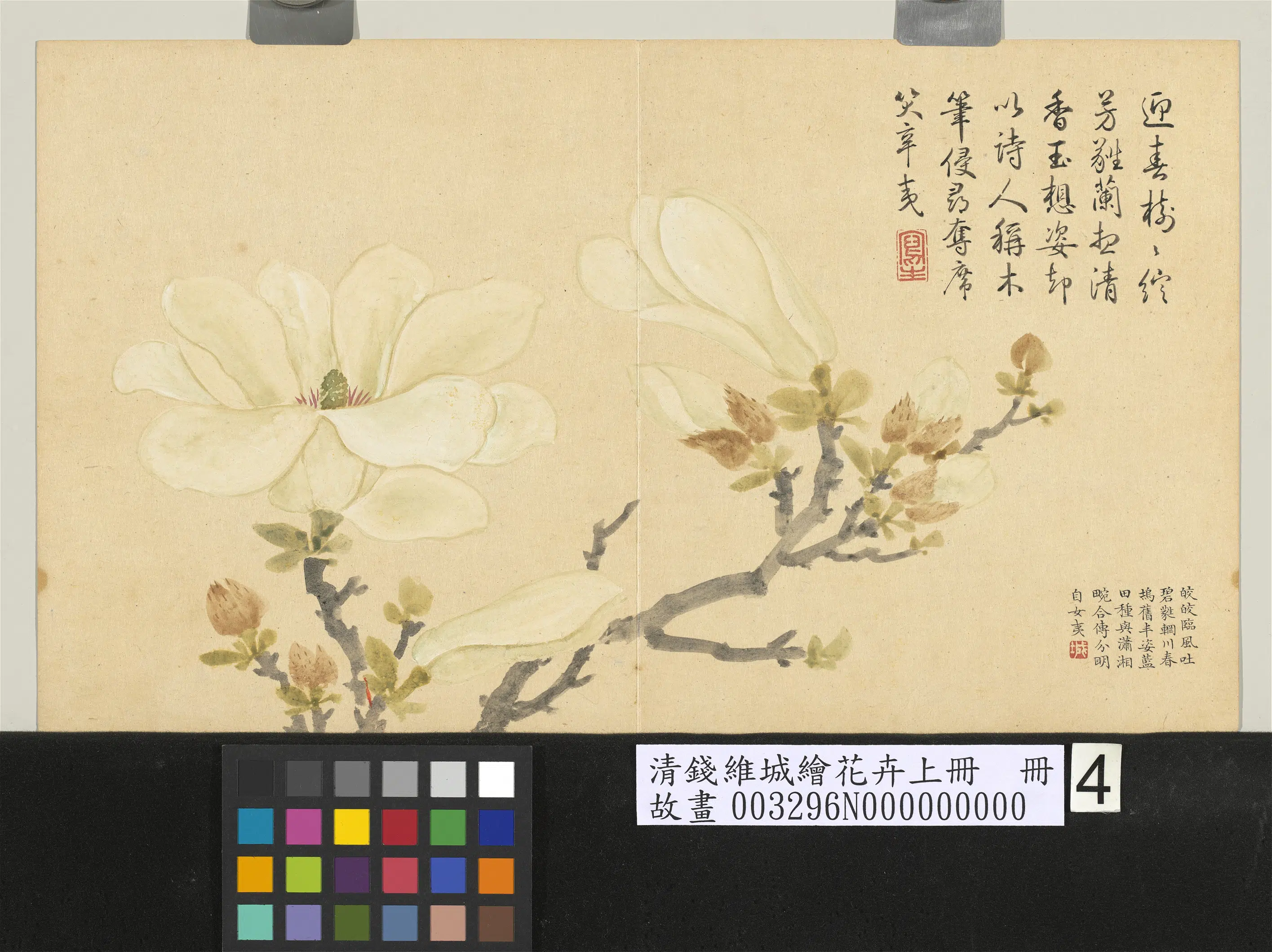 清代【钱维城】《绘花卉（上）册》 第10张