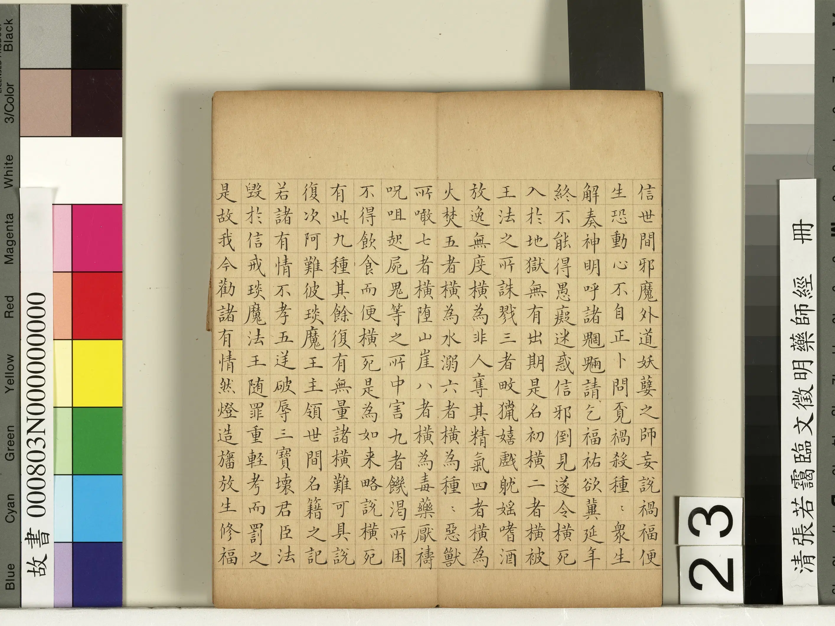 清代【张若霭】《临文征明药师经册》 第16张 清代【张若霭】《临文征明药师经册》 第16张