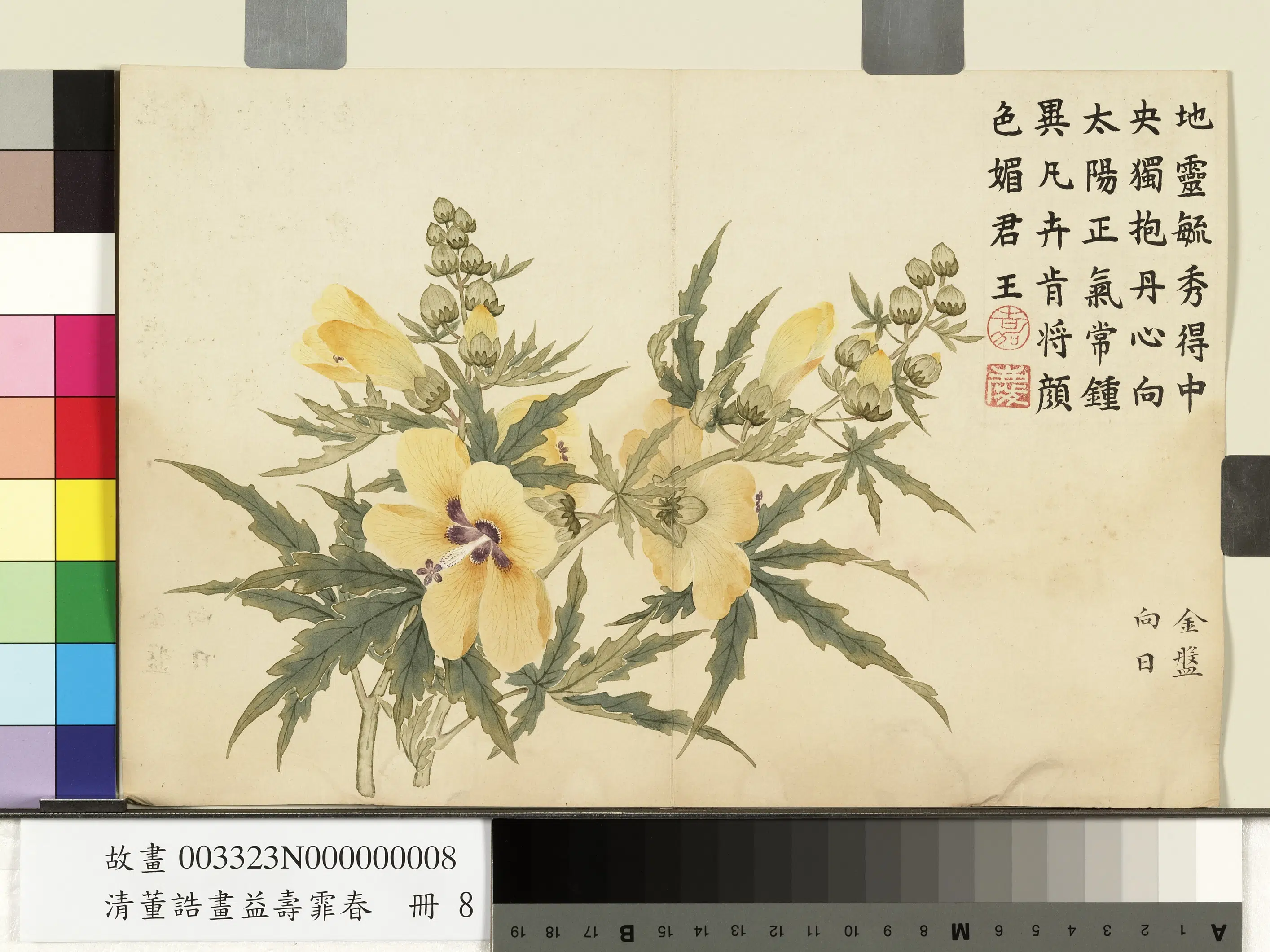 清代【董诰】《画益寿霏香册-金盘向日》