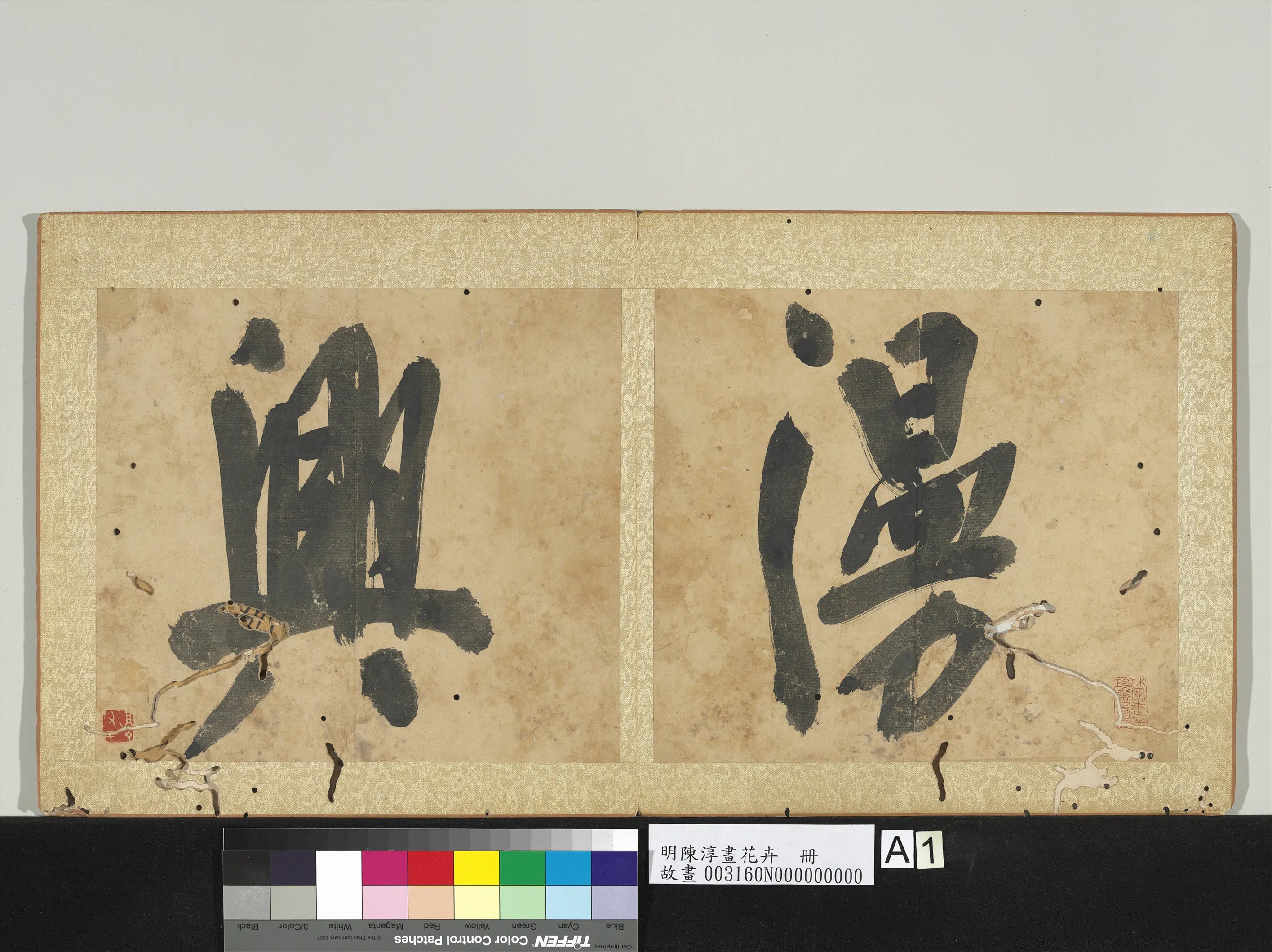 明朝【陈淳（道复）】《画花卉册》