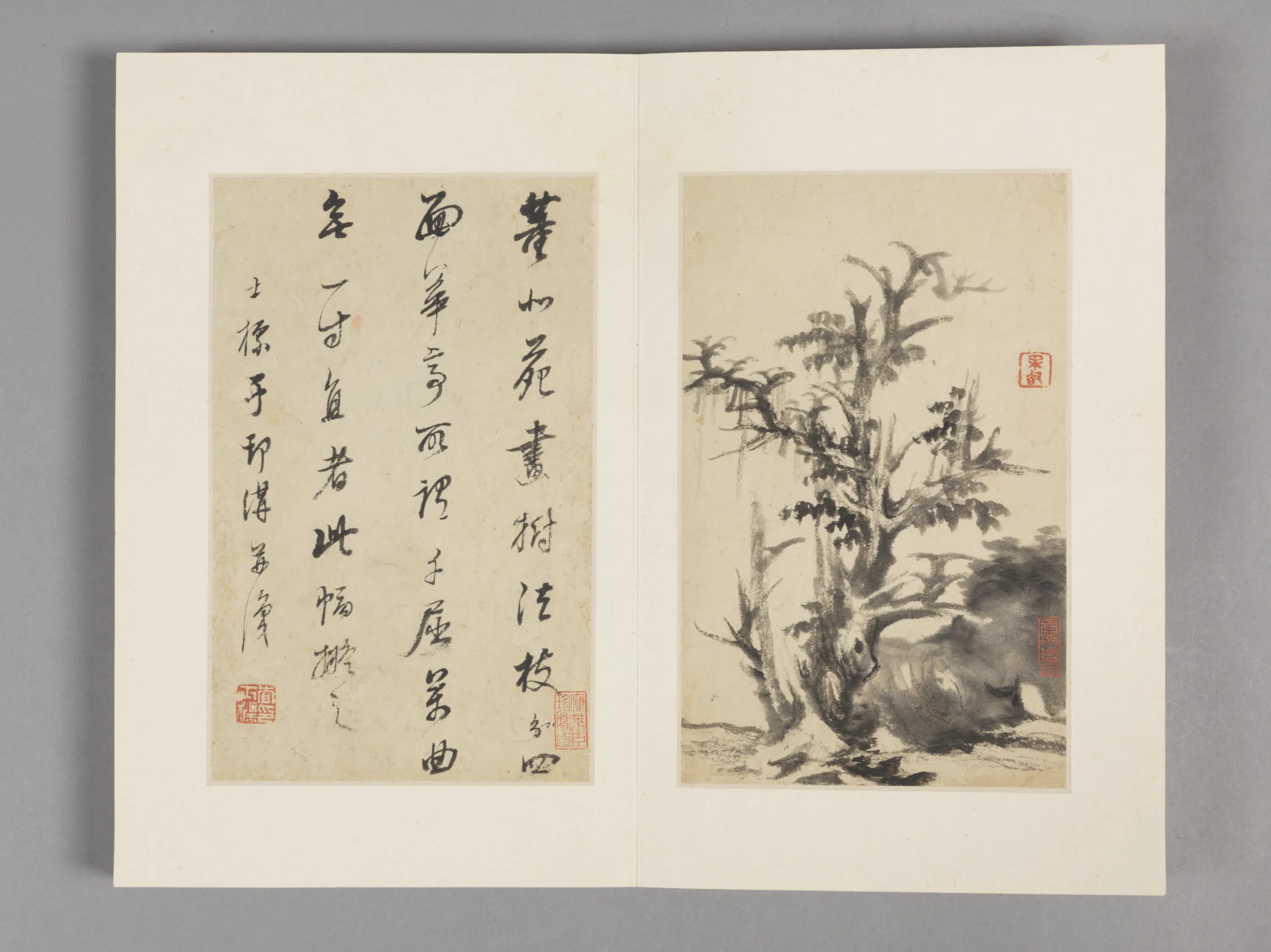清代【查士标】《枯木竹石册（12开）》 第5张