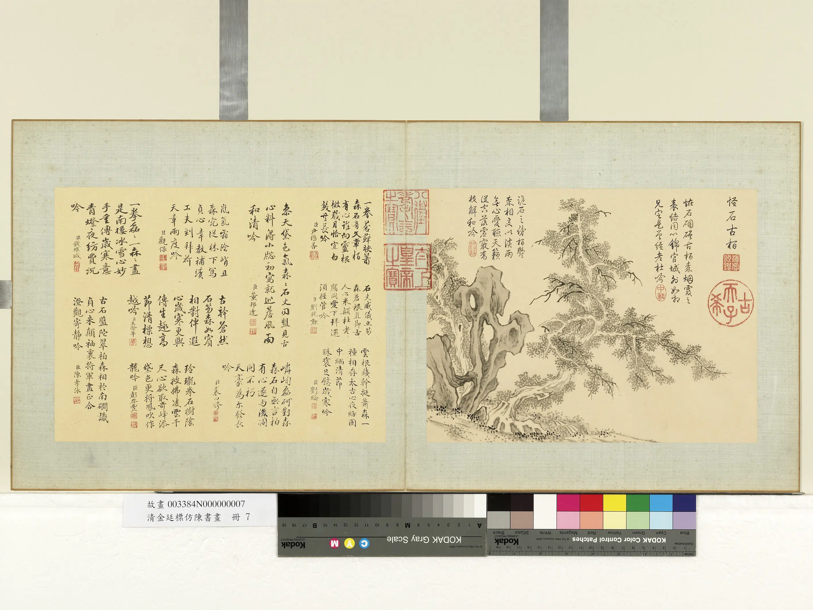清代【金廷标】《仿陈书画册-怪石古柏》