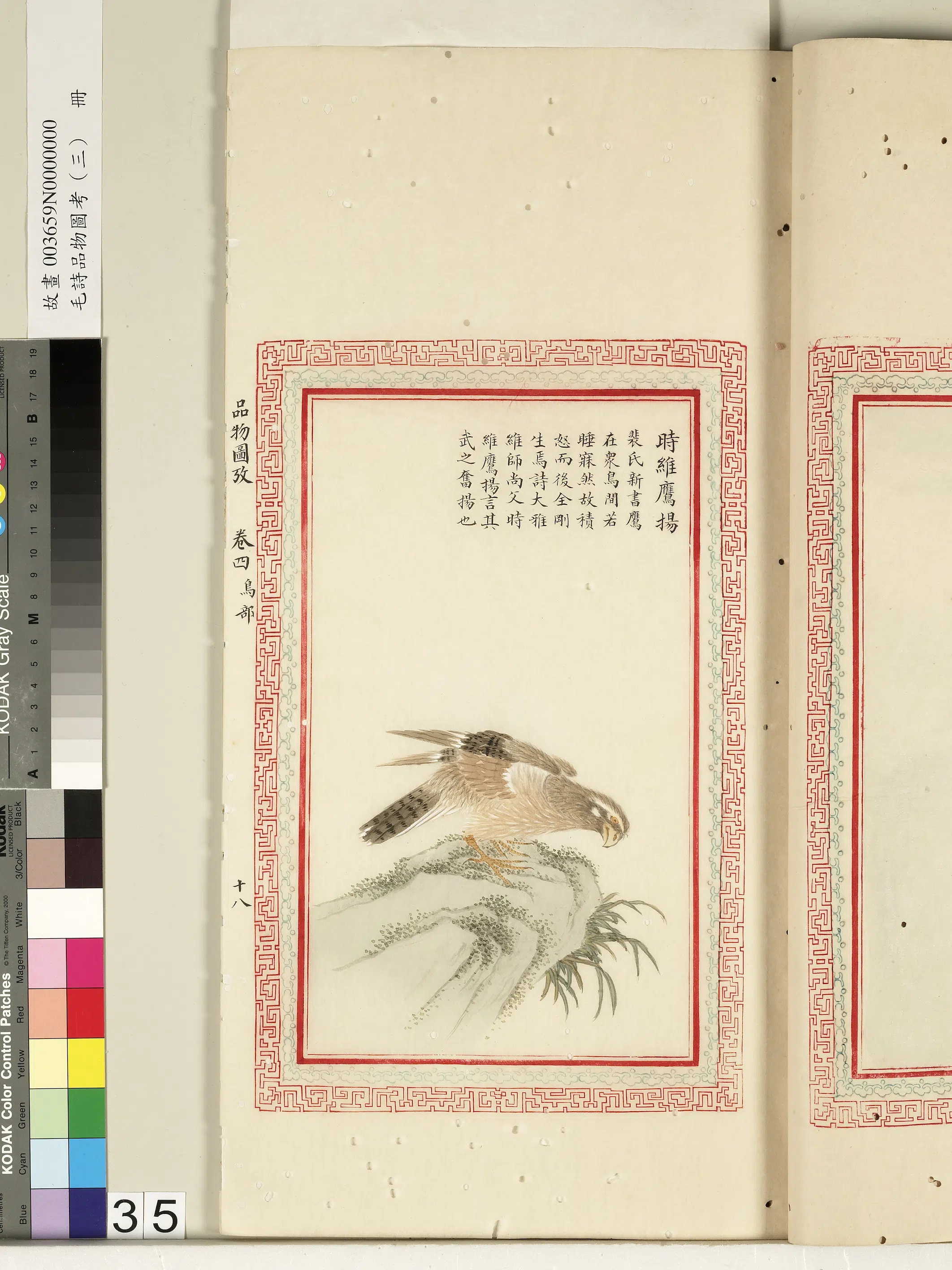 清代《毛诗品物图考(三)册-2》 第22张 清代《毛诗品物图考(三)册-2》 第22张