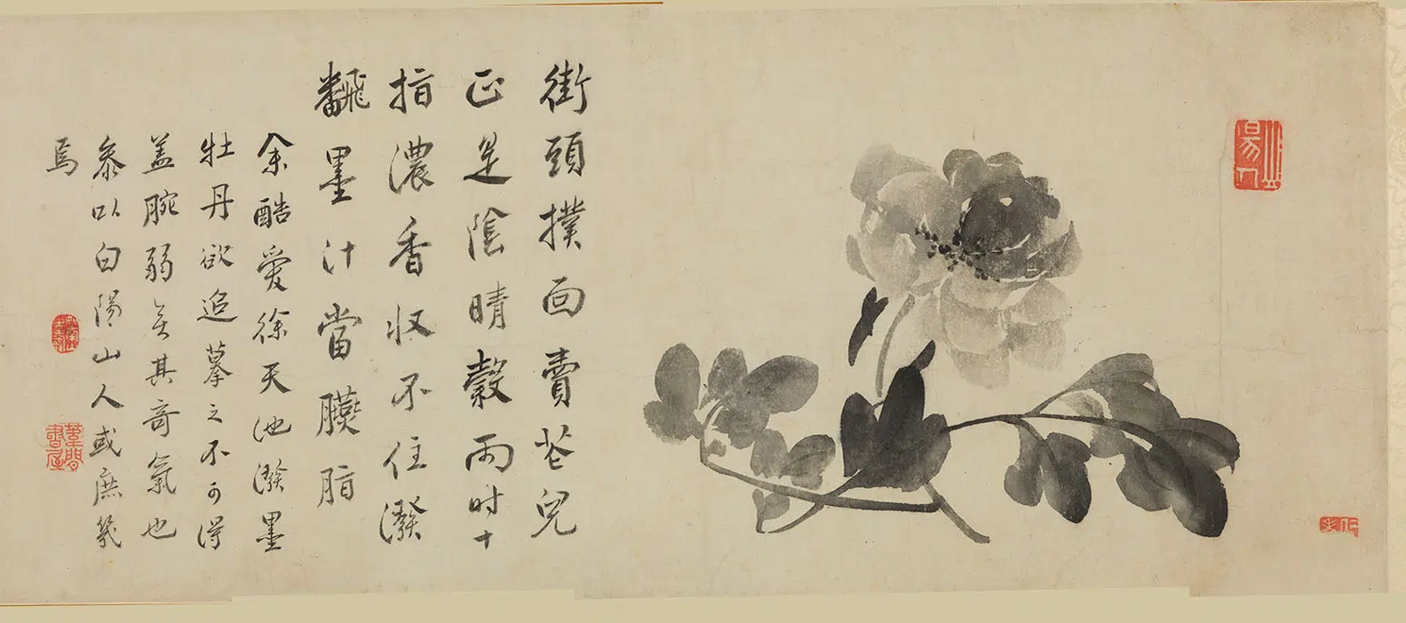 清代【边寿民】《花卉图卷》 第9张