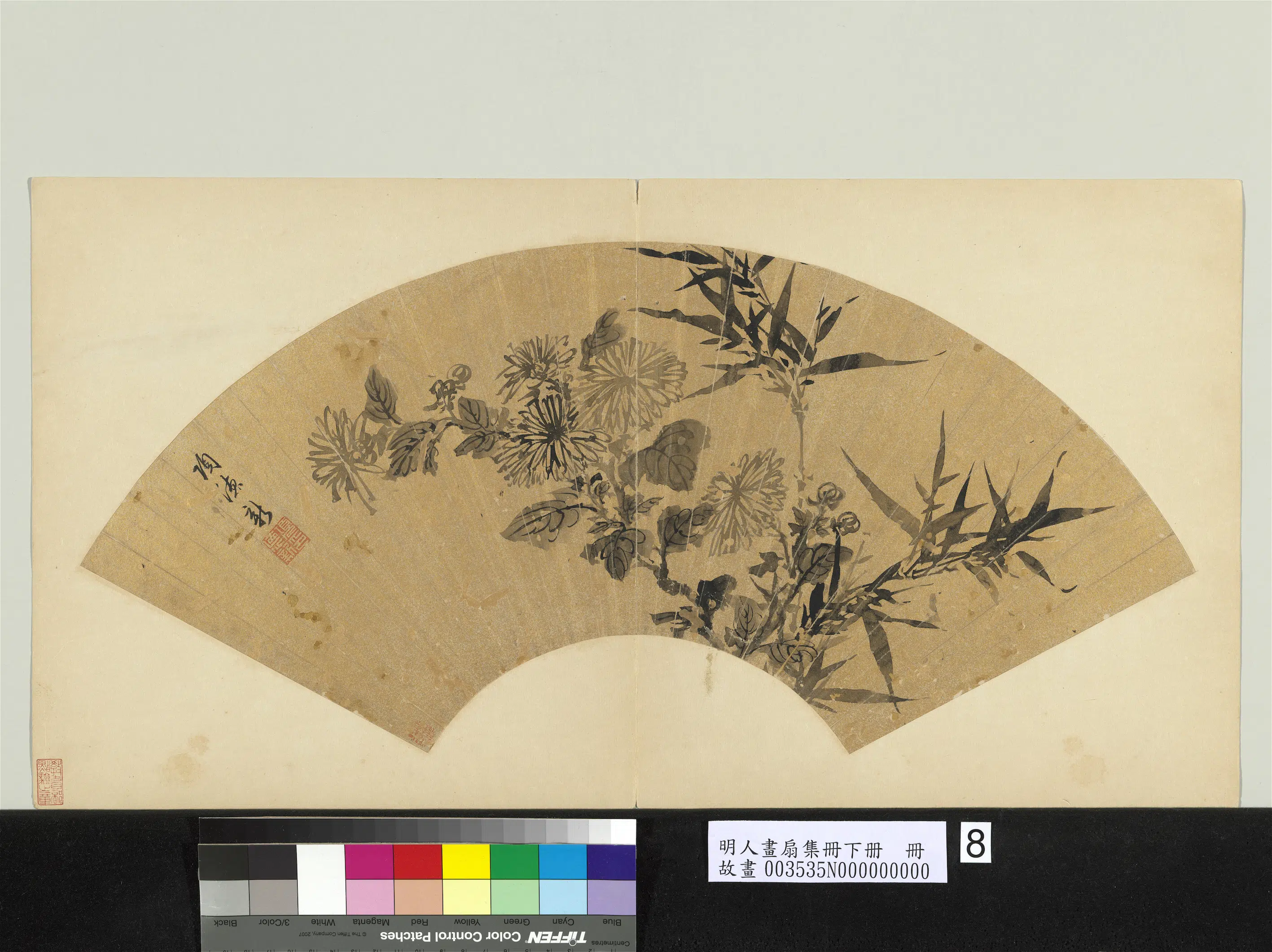 明朝【项德新】《明人画扇集册贰册(下)册-竹菊》