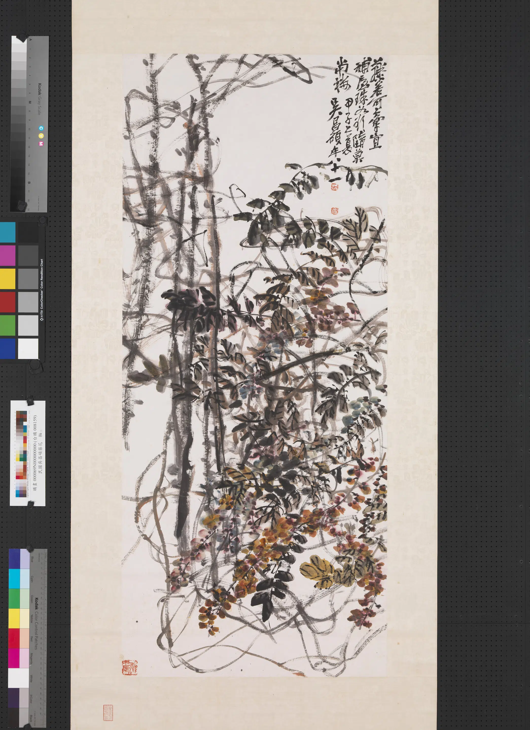 清代【吴昌硕】《藤花图轴》