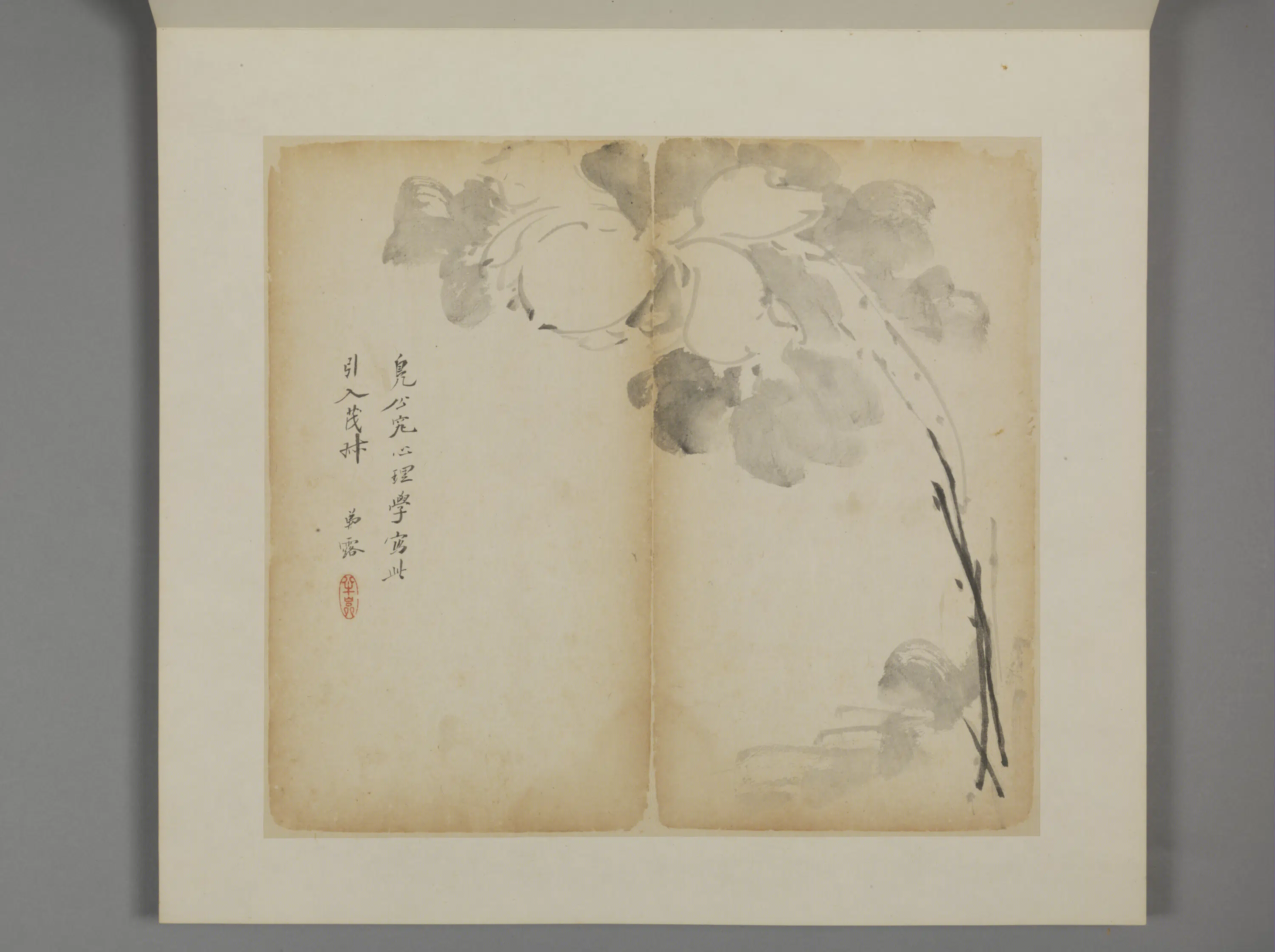 清代【王露】《花卉册》 第3张 清代【王露】《花卉册》 第3张
