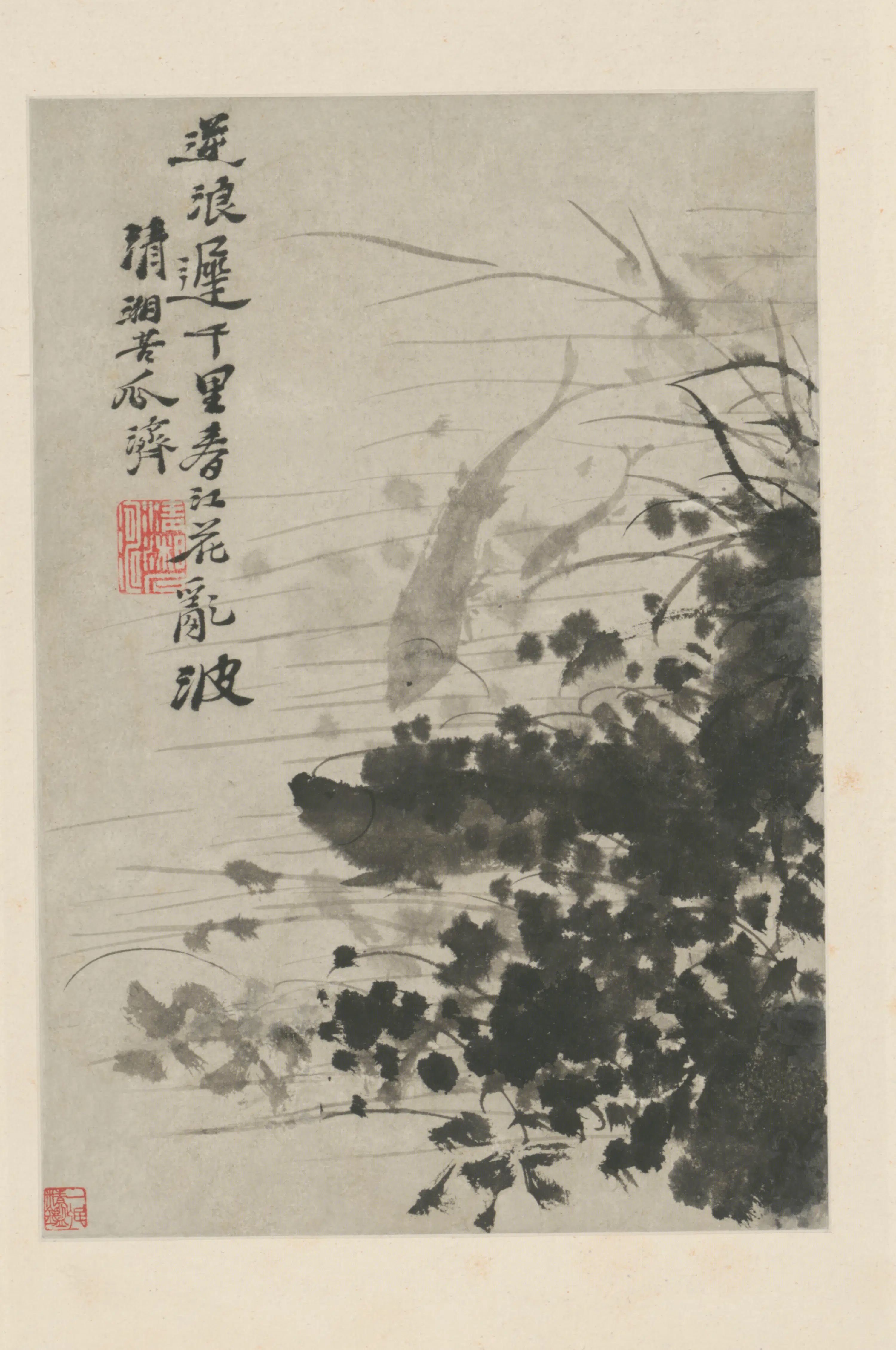 清代【原济】《花卉图册》 第4张 清代【原济】《花卉图册》 第4张