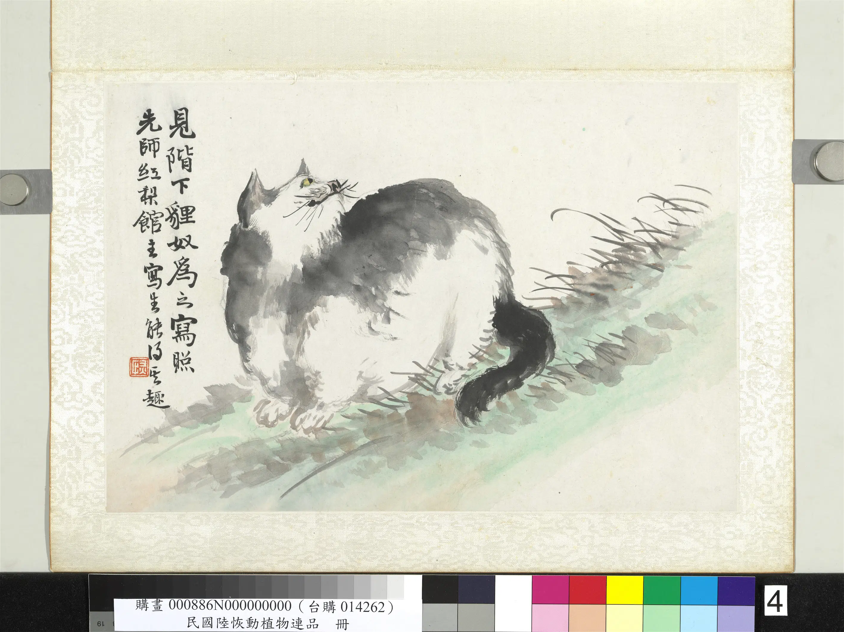 清代【陆恢】《动植物逸品册-狸奴》 第1张 清代【陆恢】《动植物逸品册-狸奴》 第1张
