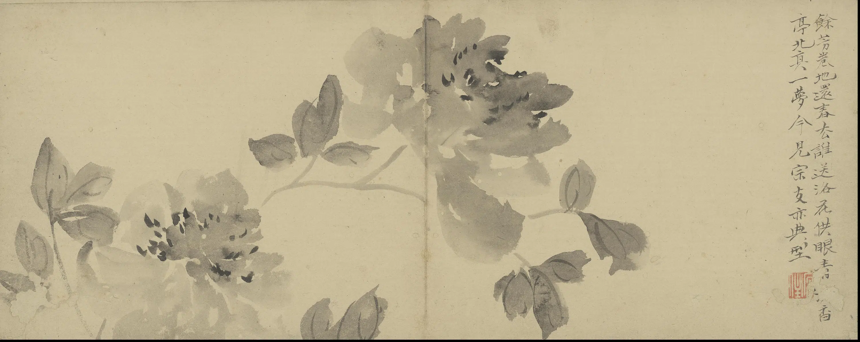 清代【陈撰】《花卉图册》 第10张