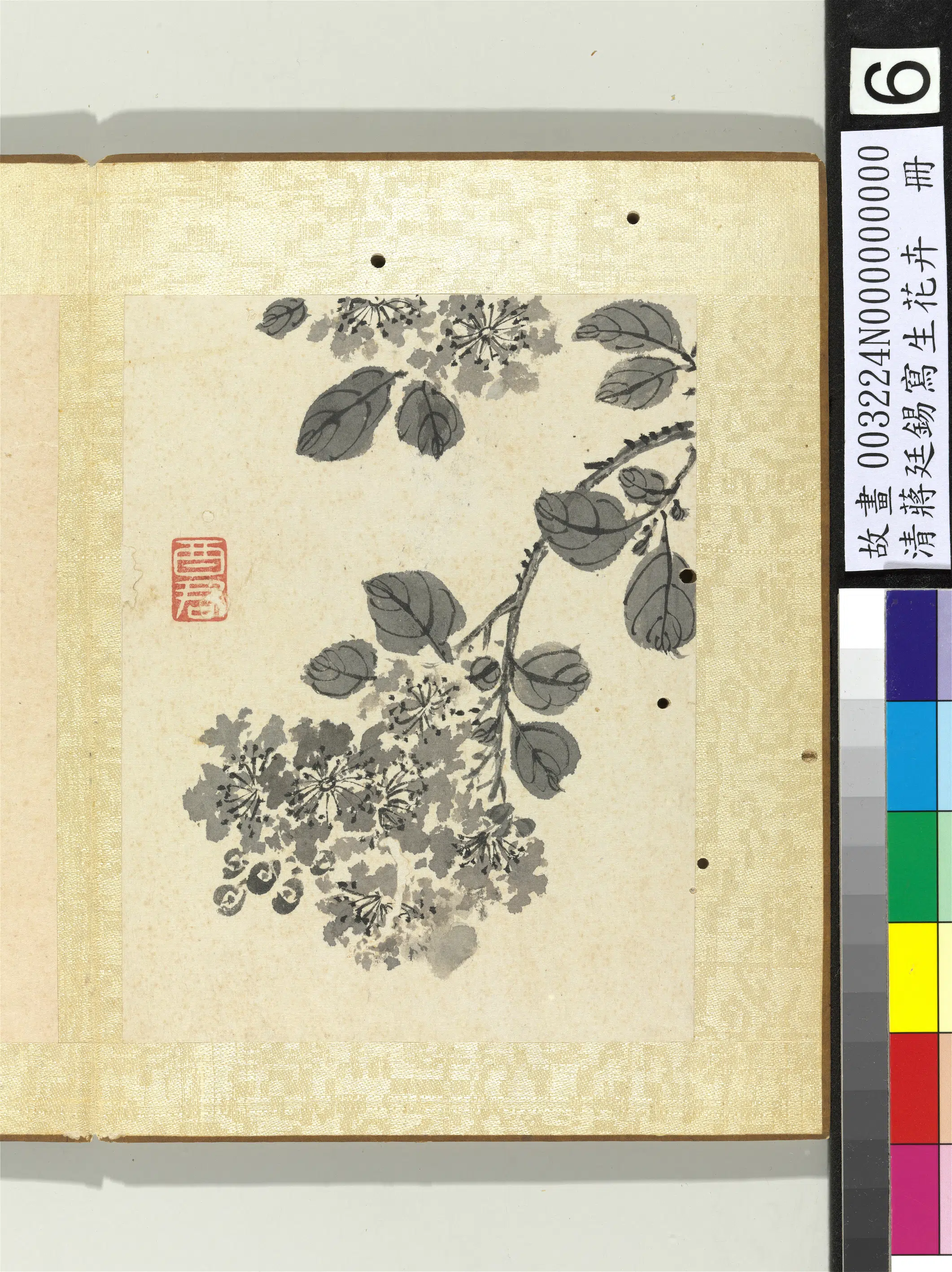 清代【蒋廷锡】《写生花卉册-紫薇》
