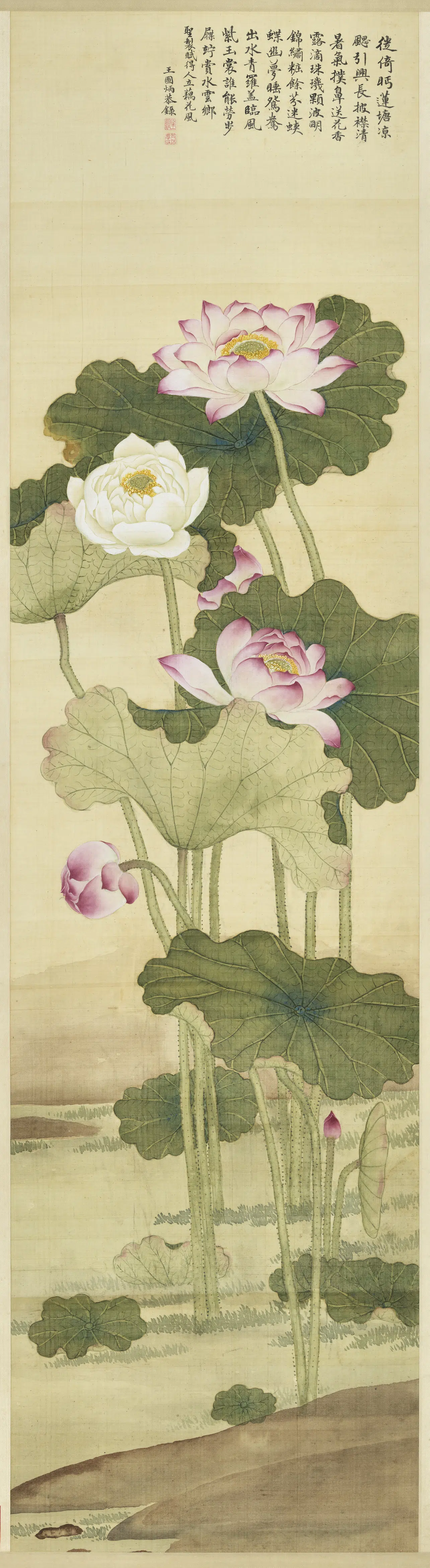 清代【王图炳】《画荷花图轴》