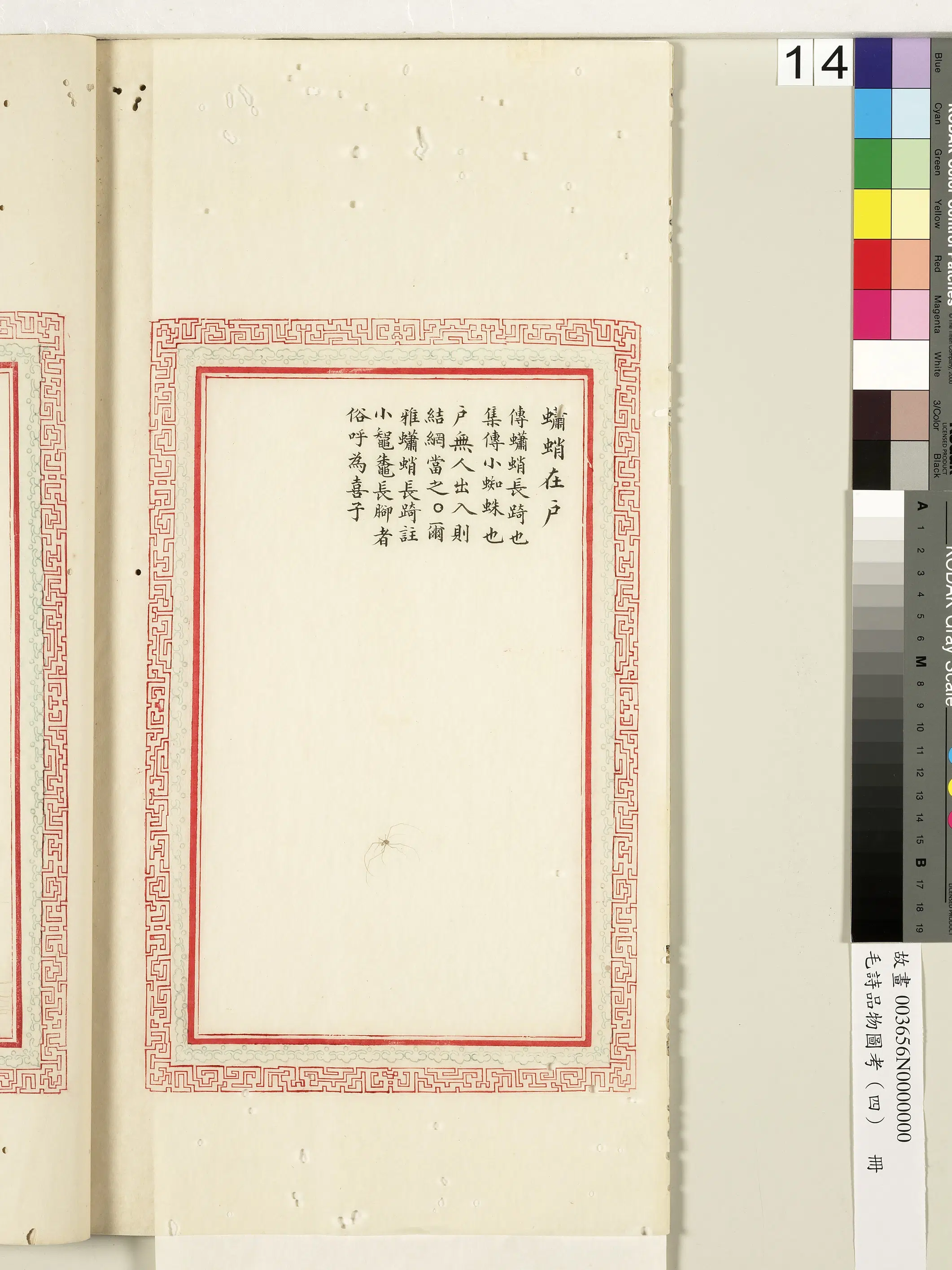 清朝【佚名】《毛诗品物图考（四）册-蟏蛸在户-1》