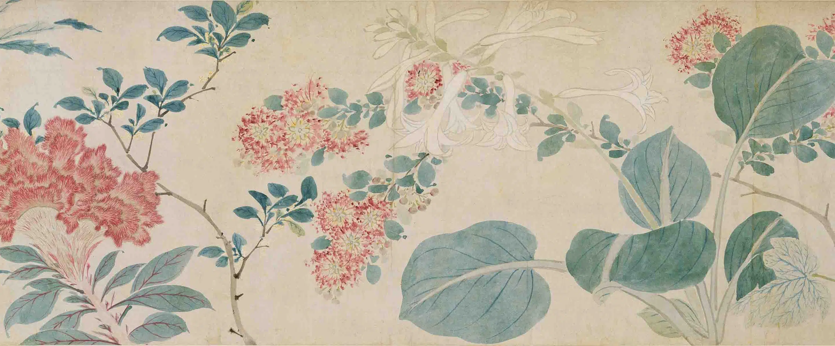 明朝【周之冕】《群芳竞秀图卷》 第16张 明朝【周之冕】《群芳竞秀图卷》 第16张