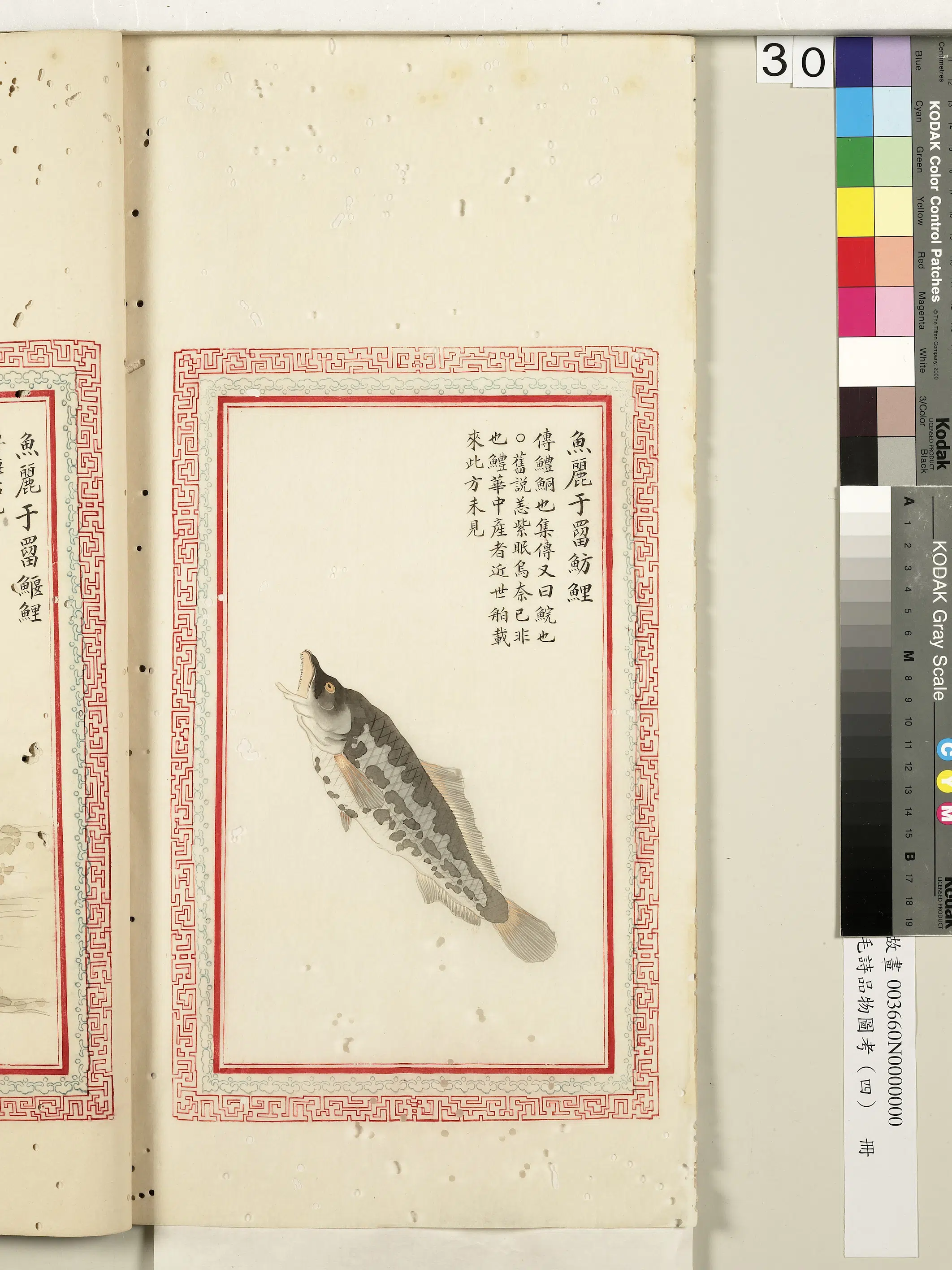 清代《毛诗品物图考(四)册-2》 第29张 清代《毛诗品物图考(四)册-2》 第29张