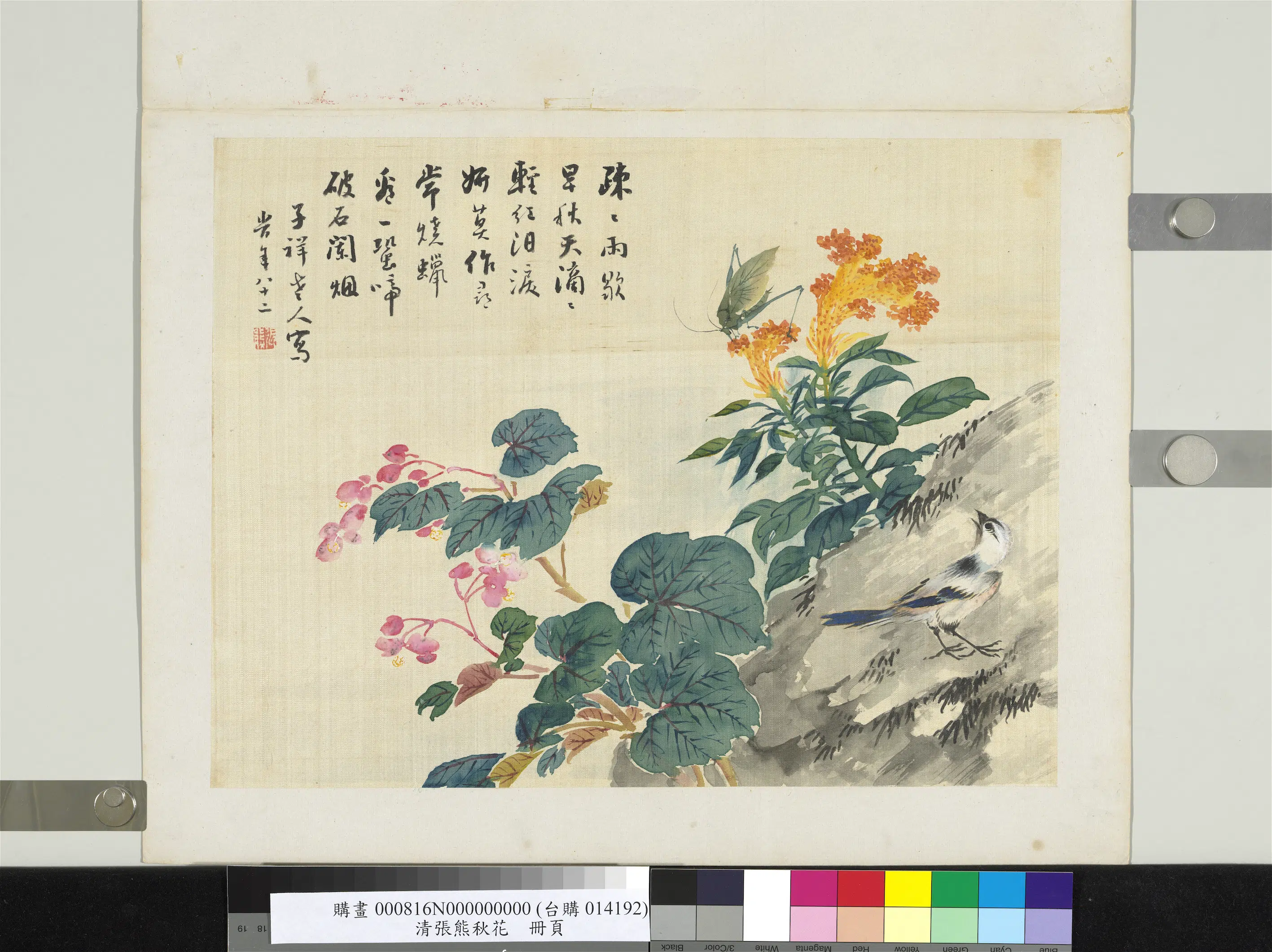 清代【张熊】《秋花册页》