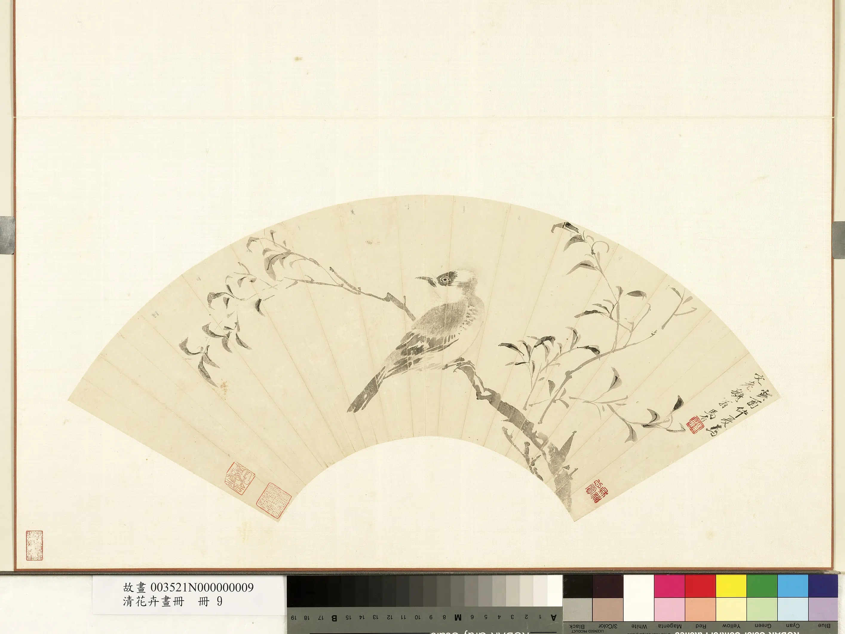 清代【马眉】《花卉画册-杨柳白头》