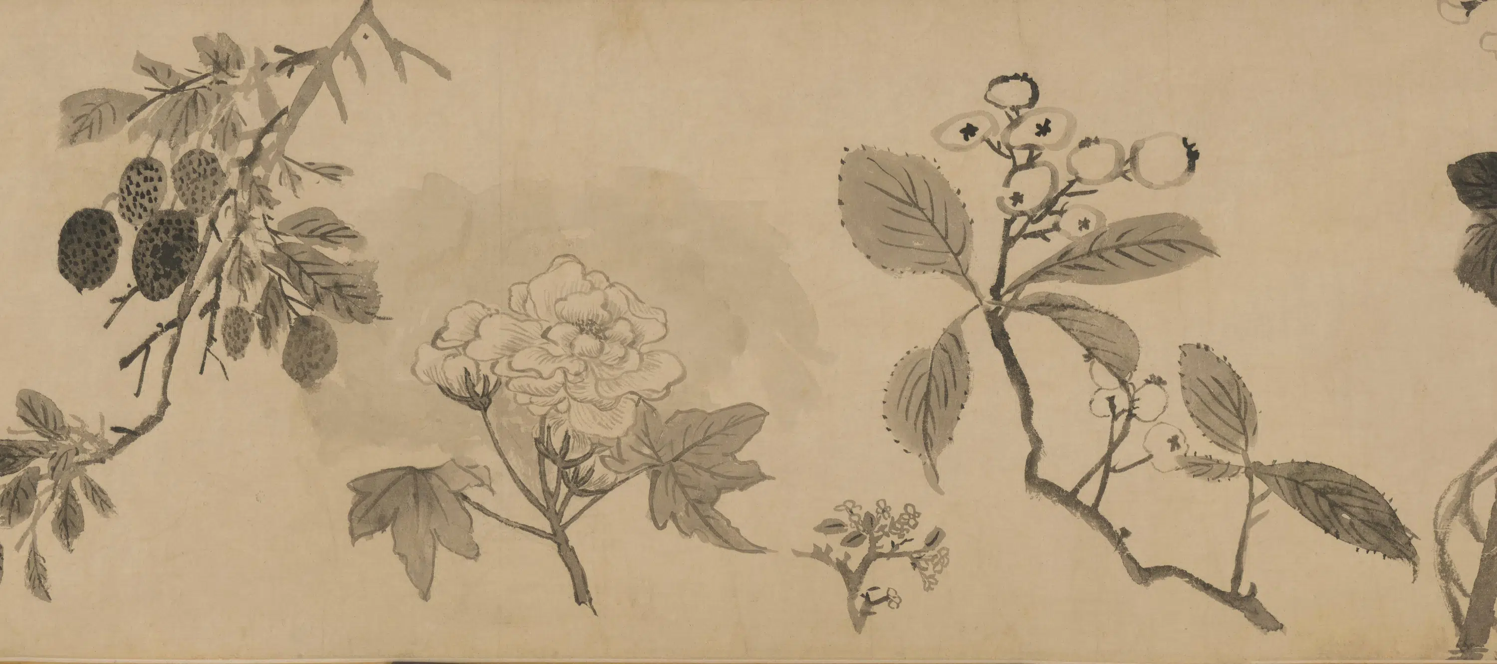 明朝【王铎】《花卉卷》 第3张 明朝【王铎】《花卉卷》 第3张