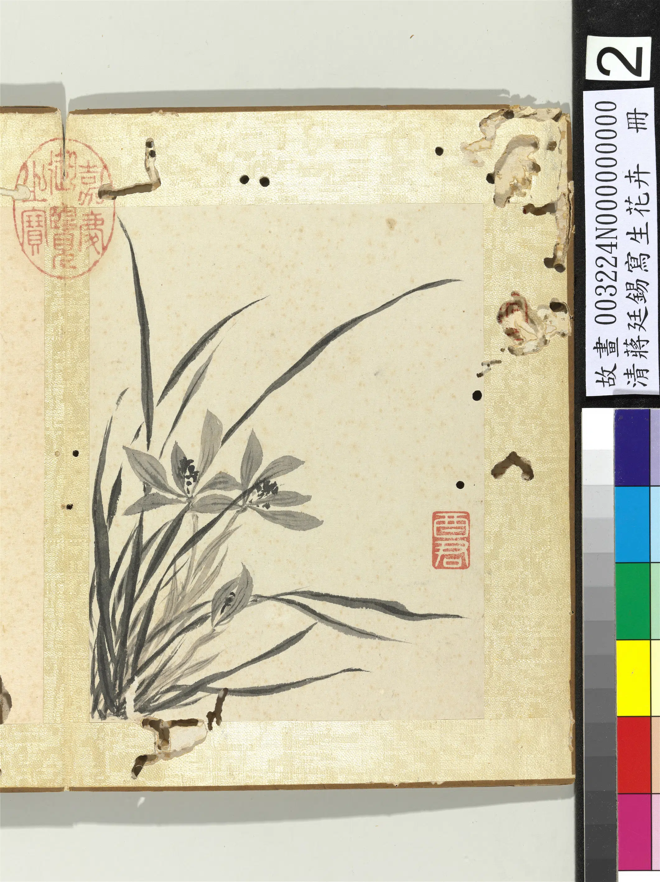 清代【蒋廷锡】《写生花卉册-兰花》