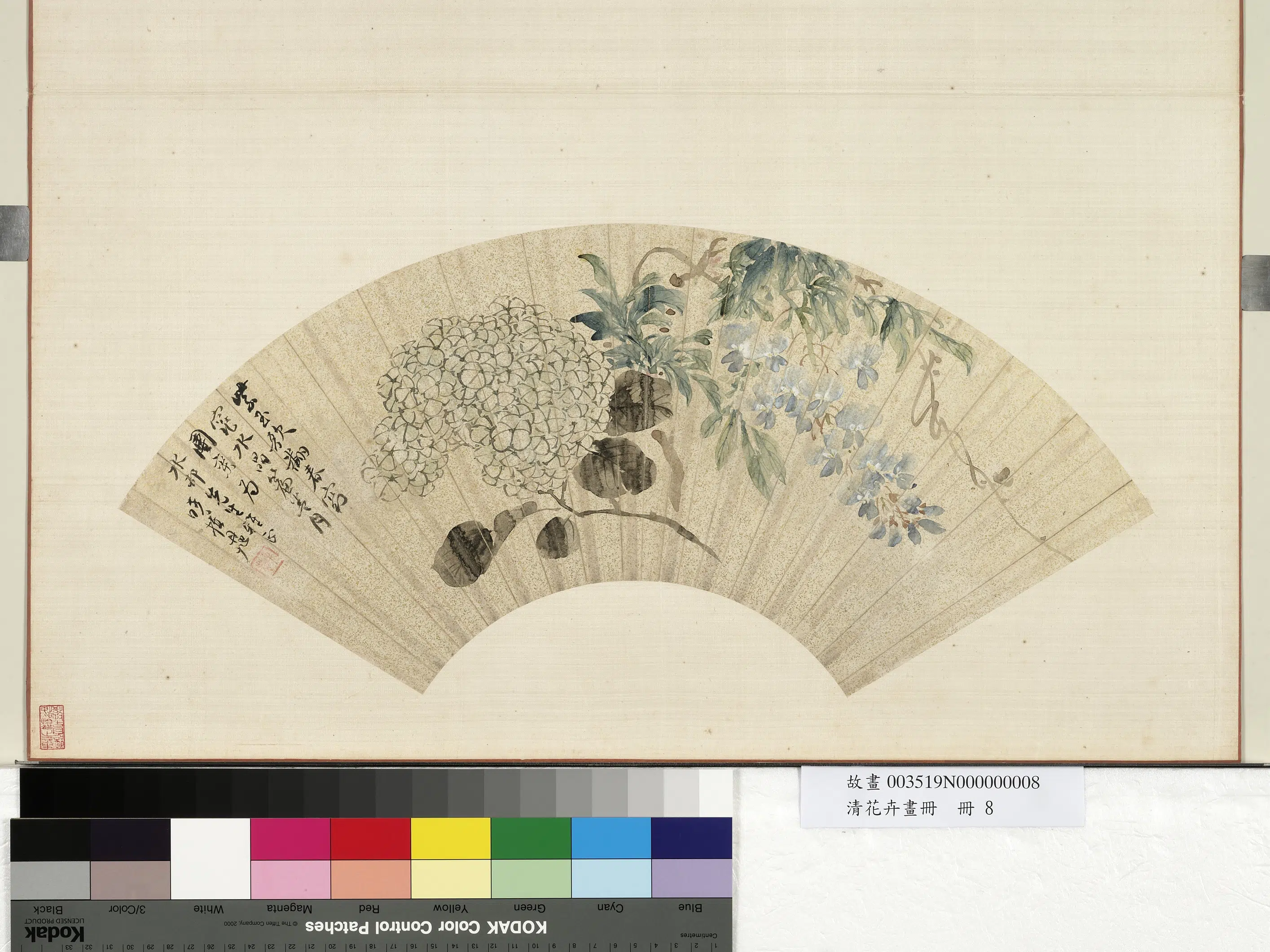 清代【费丹旭】《紫藤绣球图_花卉画册》