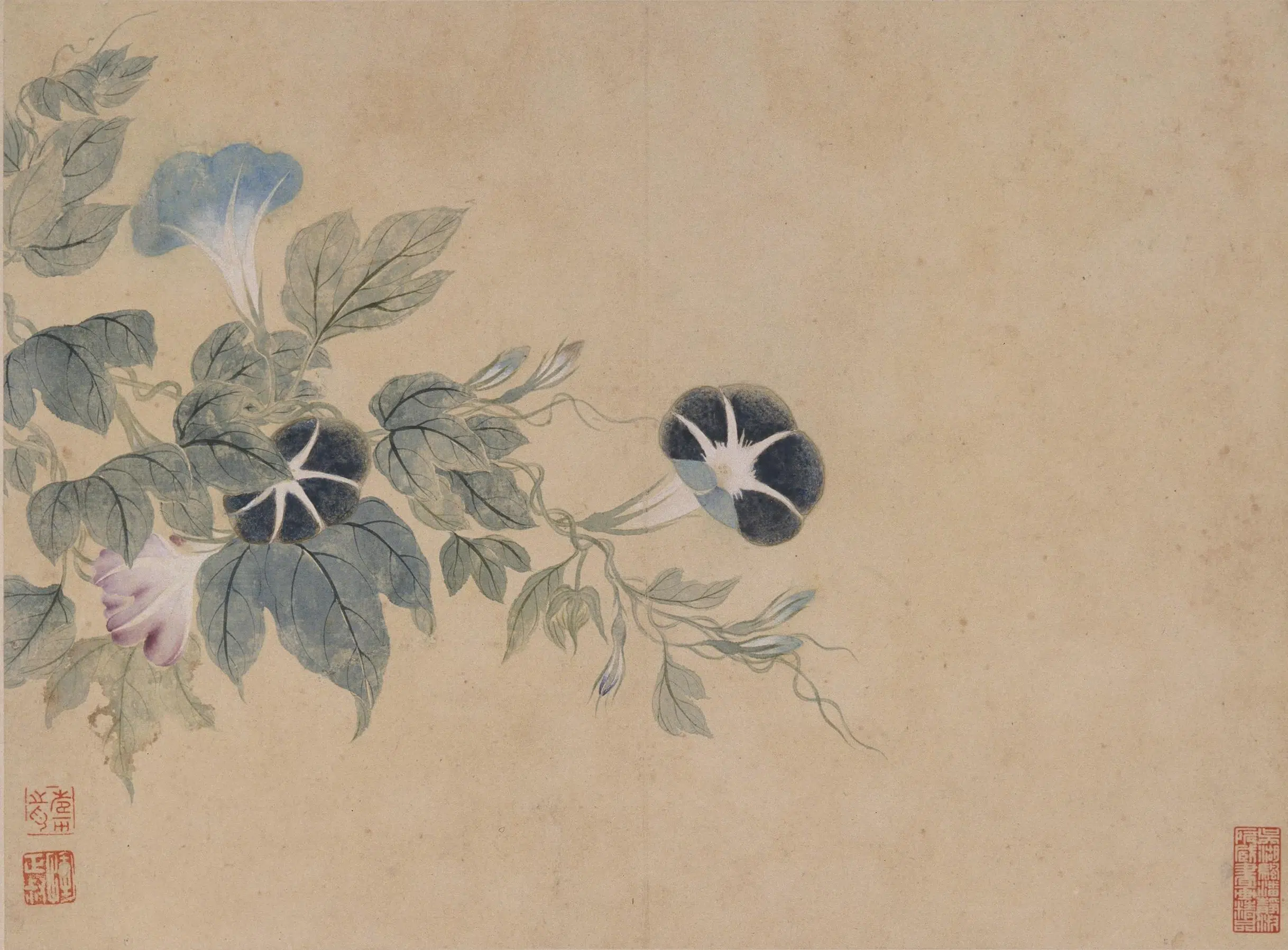 清代【恽寿平】《花卉册》 第5张 清代【恽寿平】《花卉册》 第5张