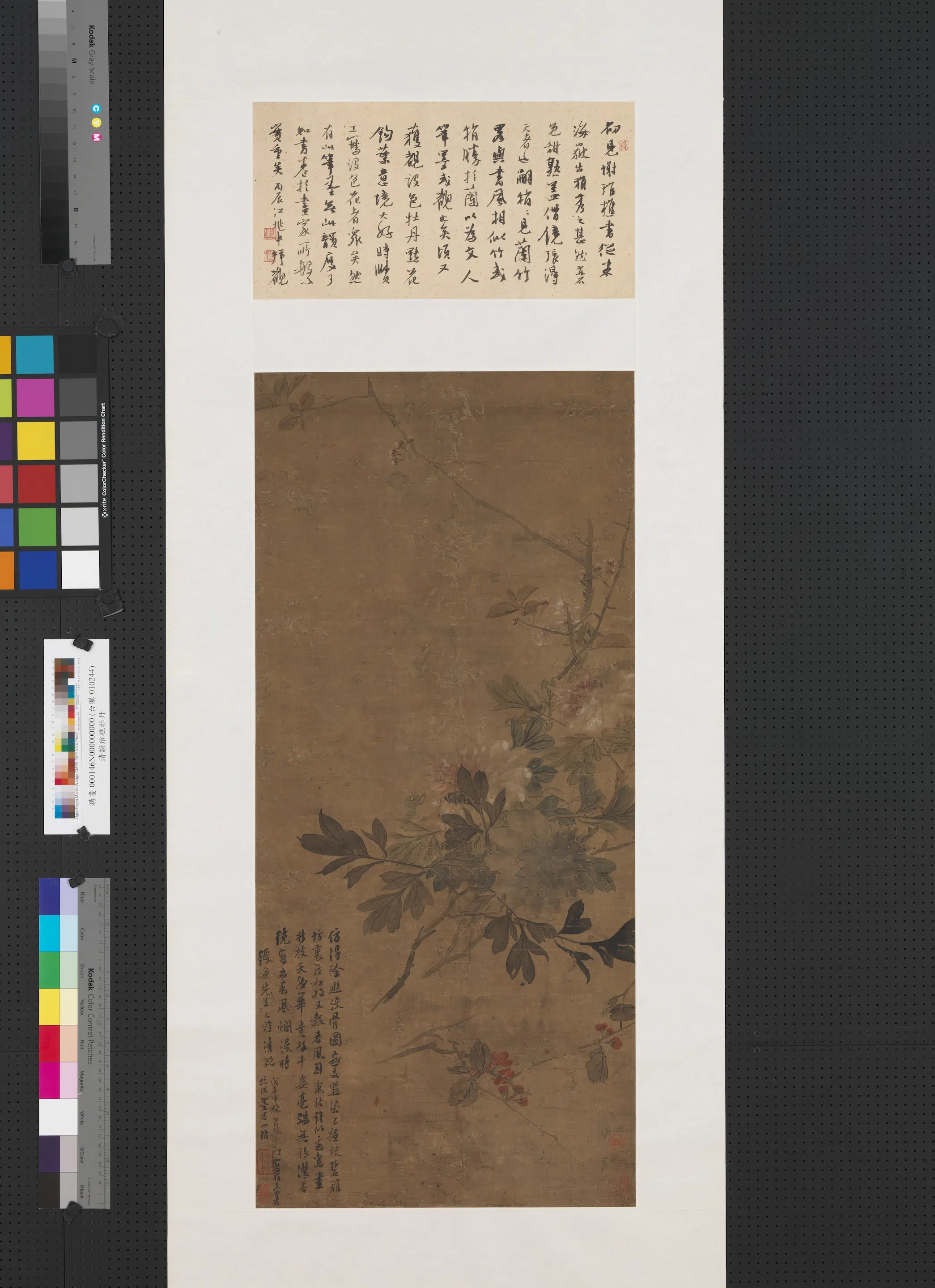 清代【谢琯樵（管樵）】《牡丹图轴》