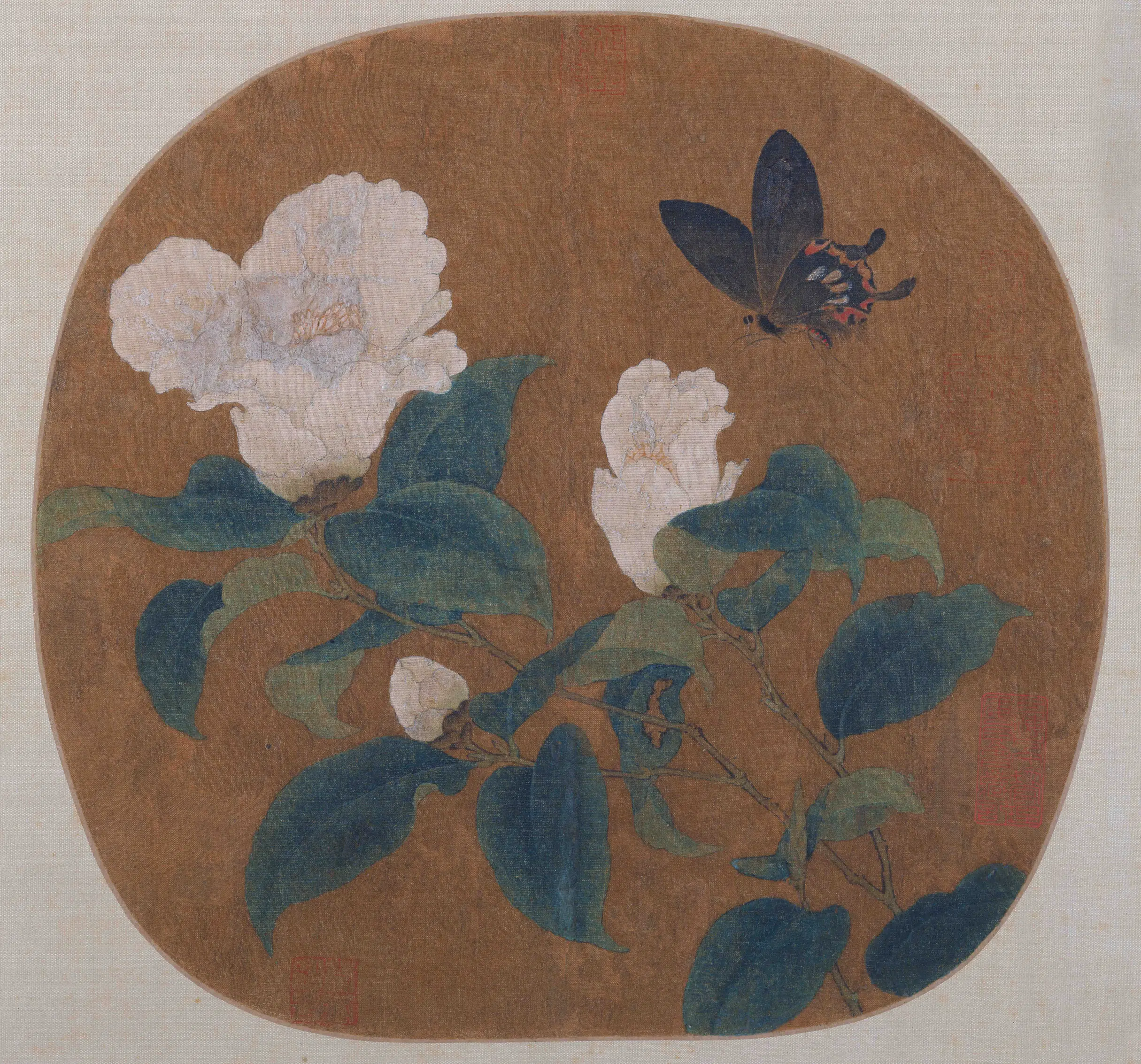 宋代【佚名】《茶花蝴蝶图纨扇页》