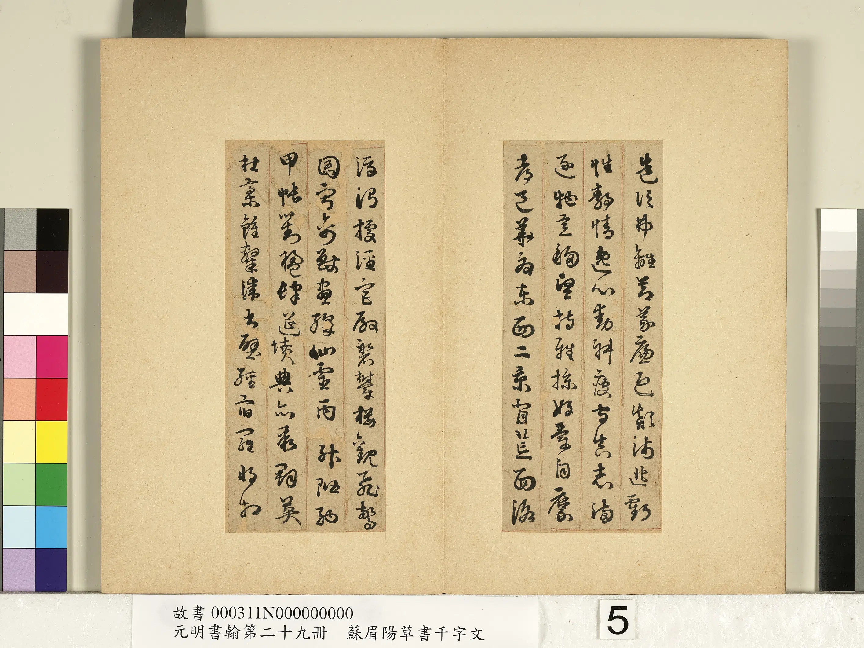 明朝【苏眉阳】《元明书翰第二十九册-草书千字文》 第7张