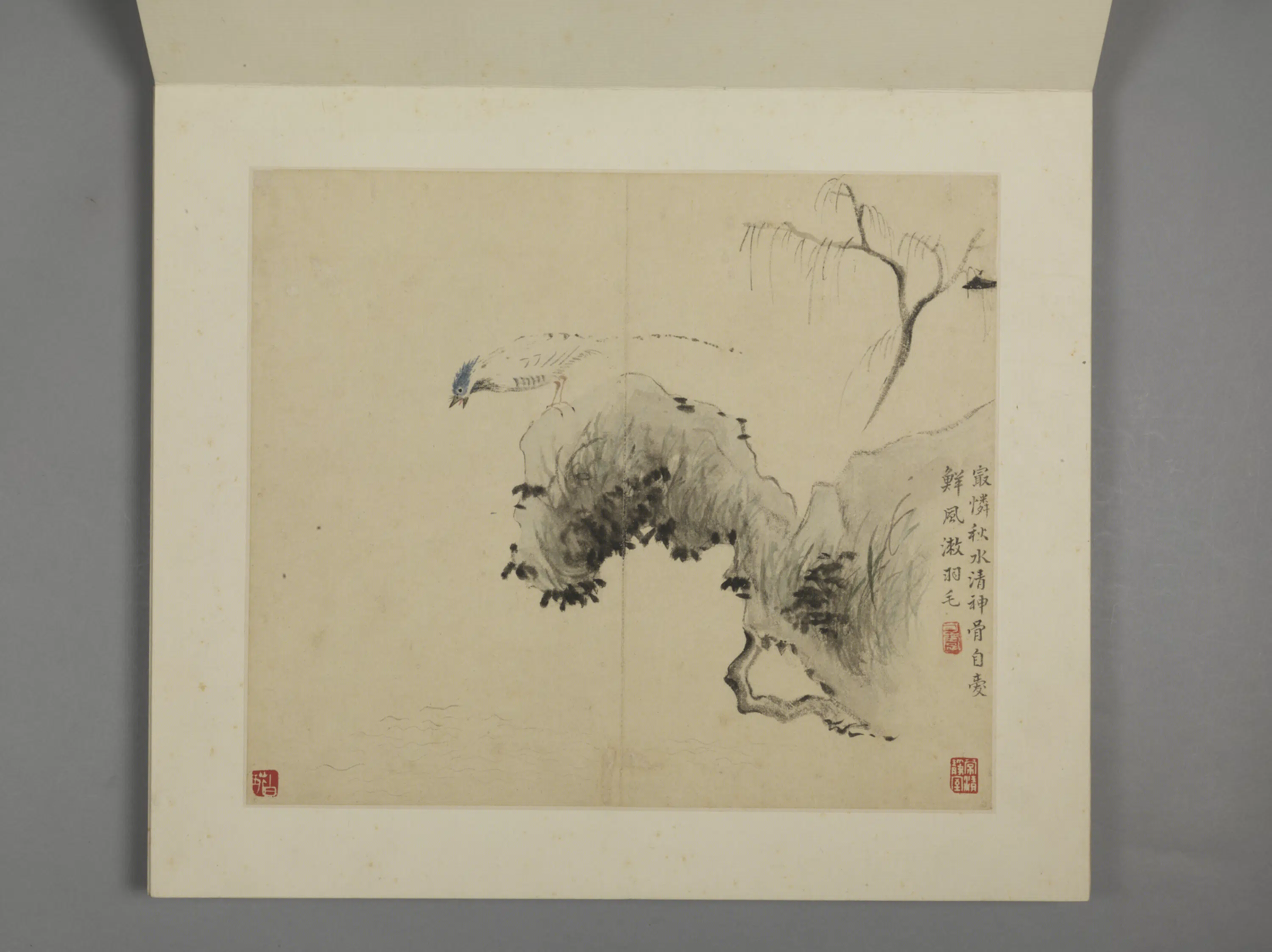 清代【华喦】《花鸟册（8开）》