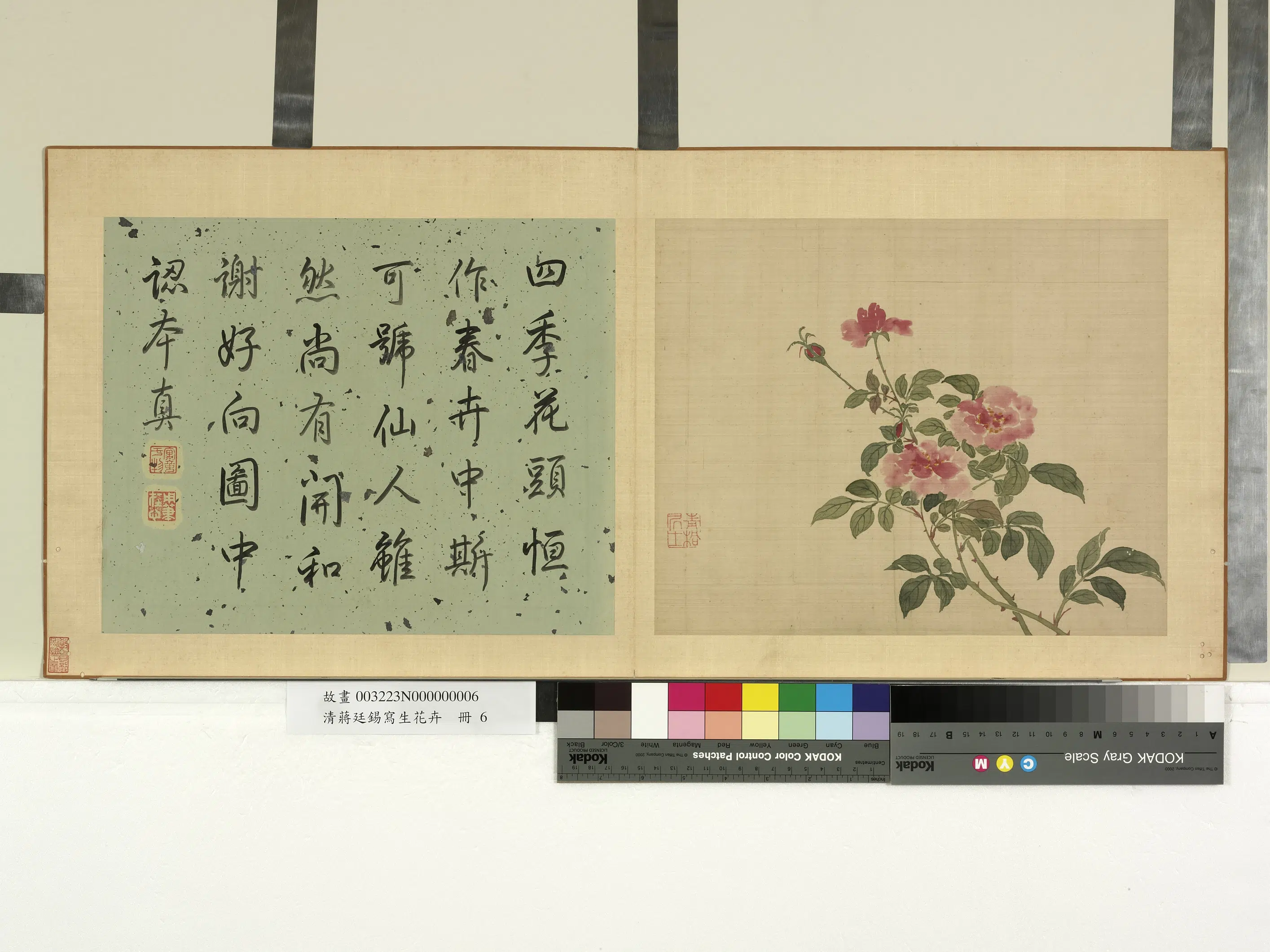 清代【蒋廷锡】《写生花卉册》
