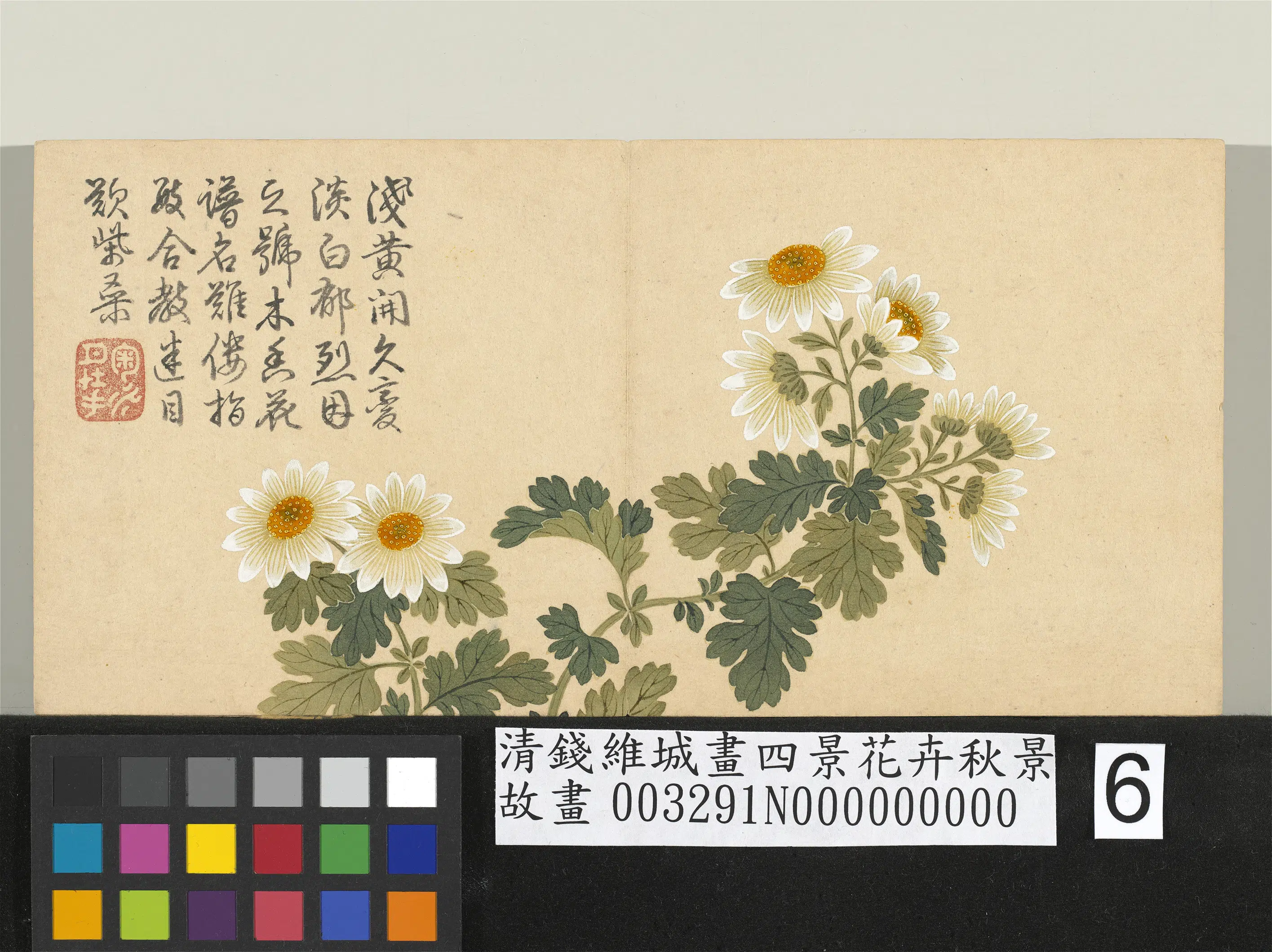 清代【钱维城】《画四景花卉秋景册-木香菊》