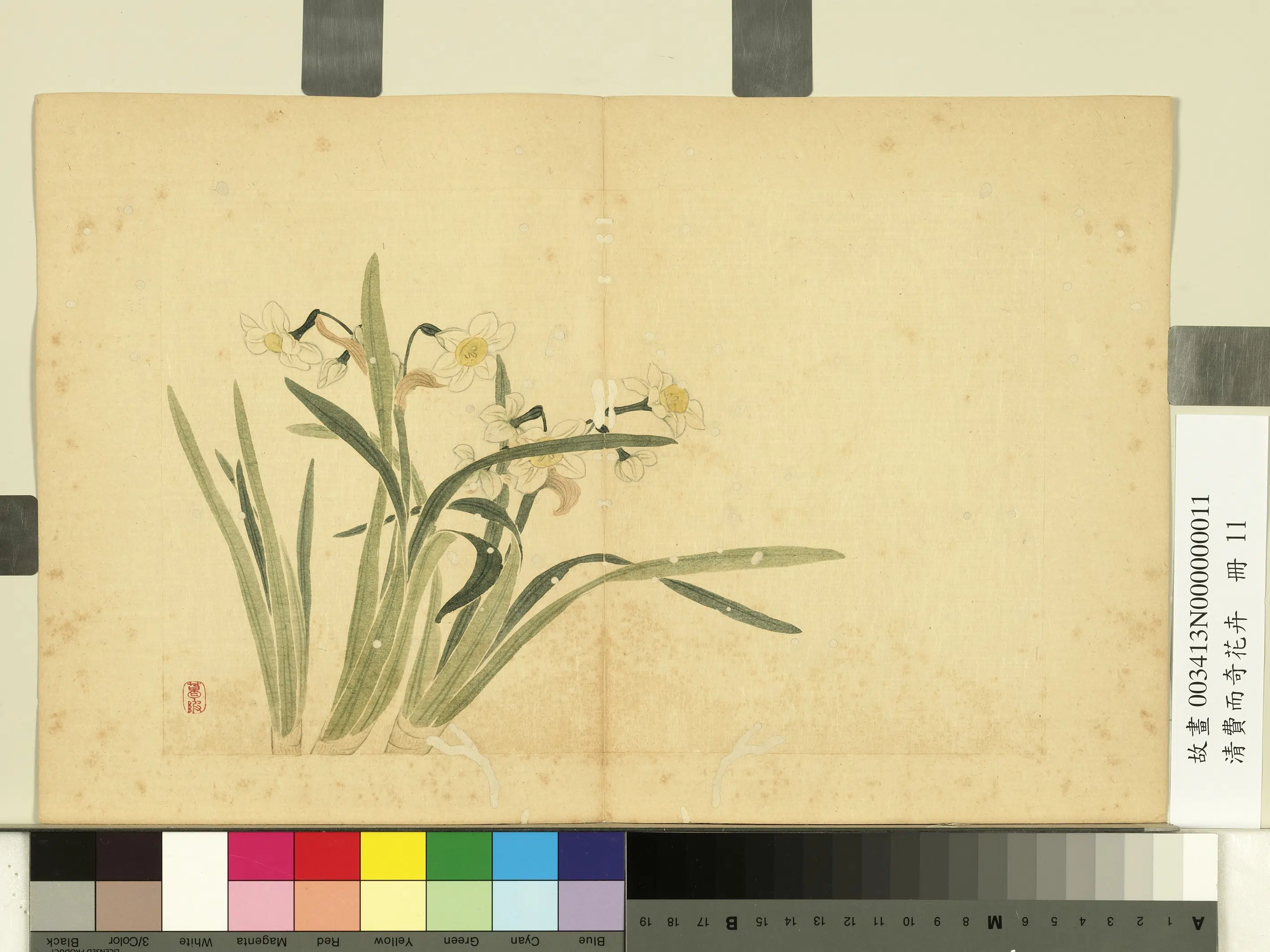 清代【费而奇】《花卉册》 第11张